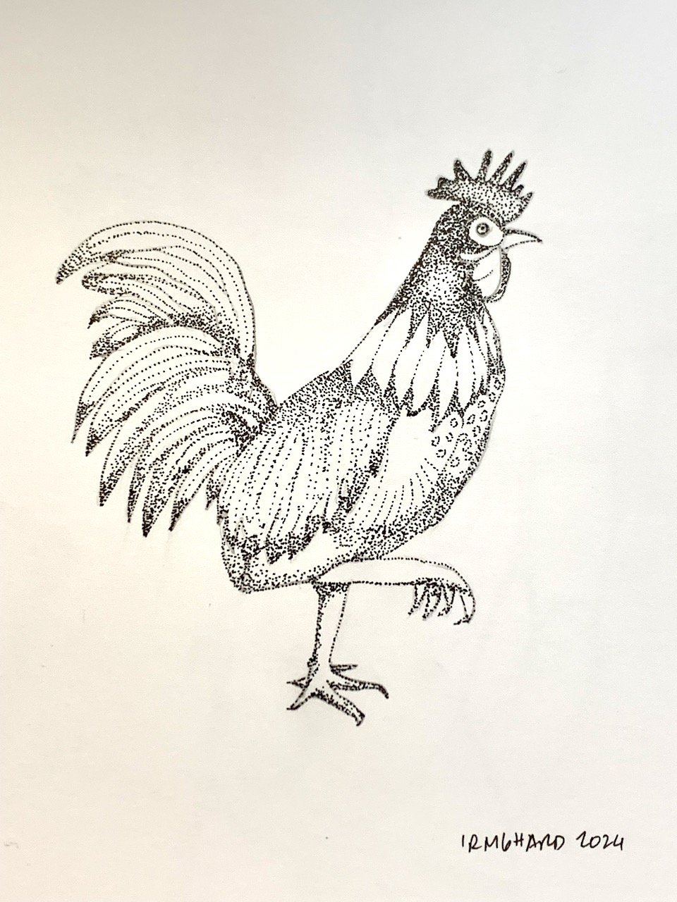 gallina.jpeg
