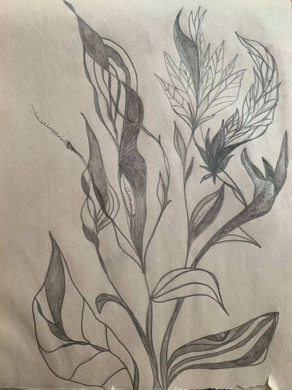 plant.jpeg