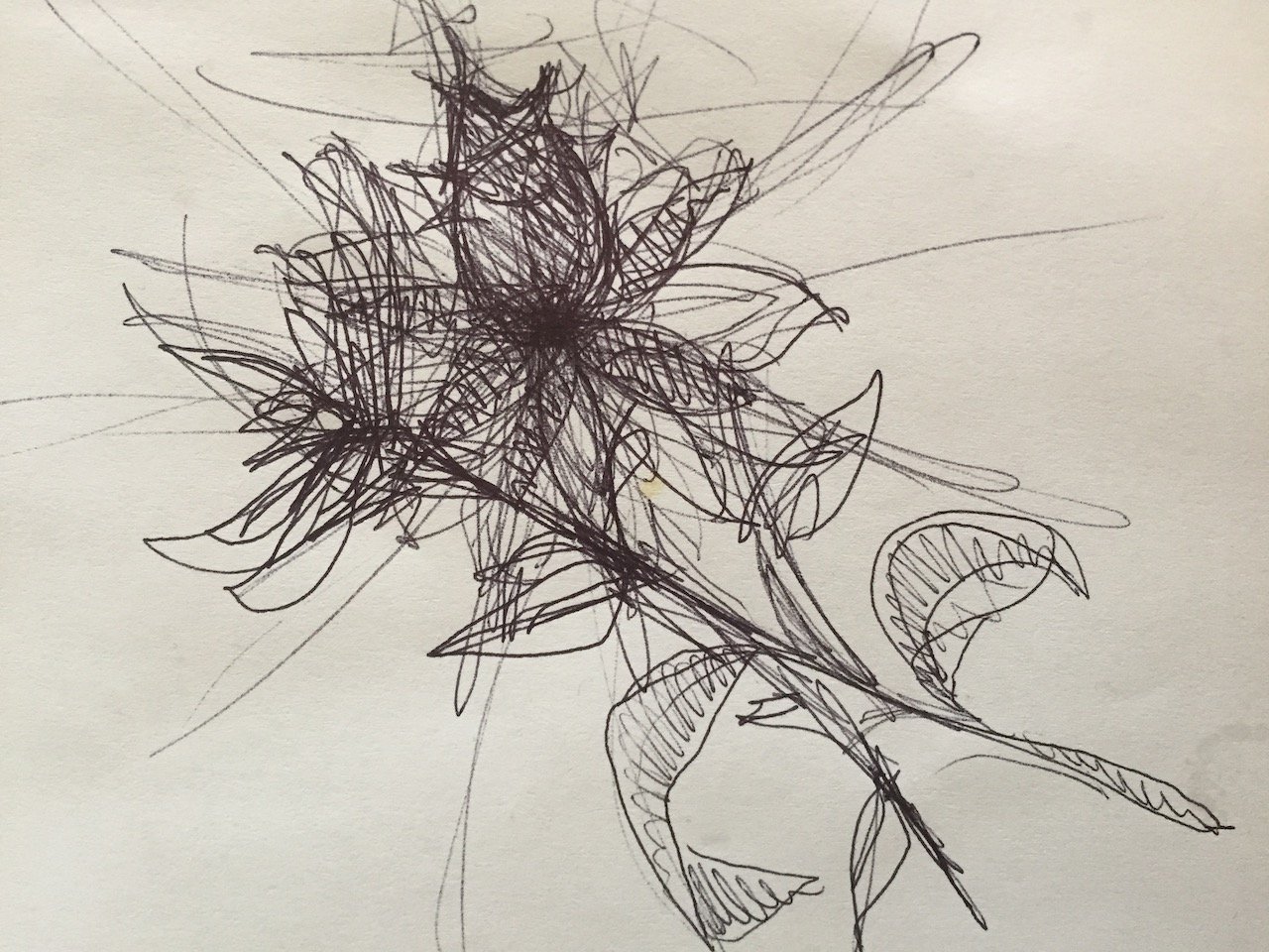 flower_angry.jpeg