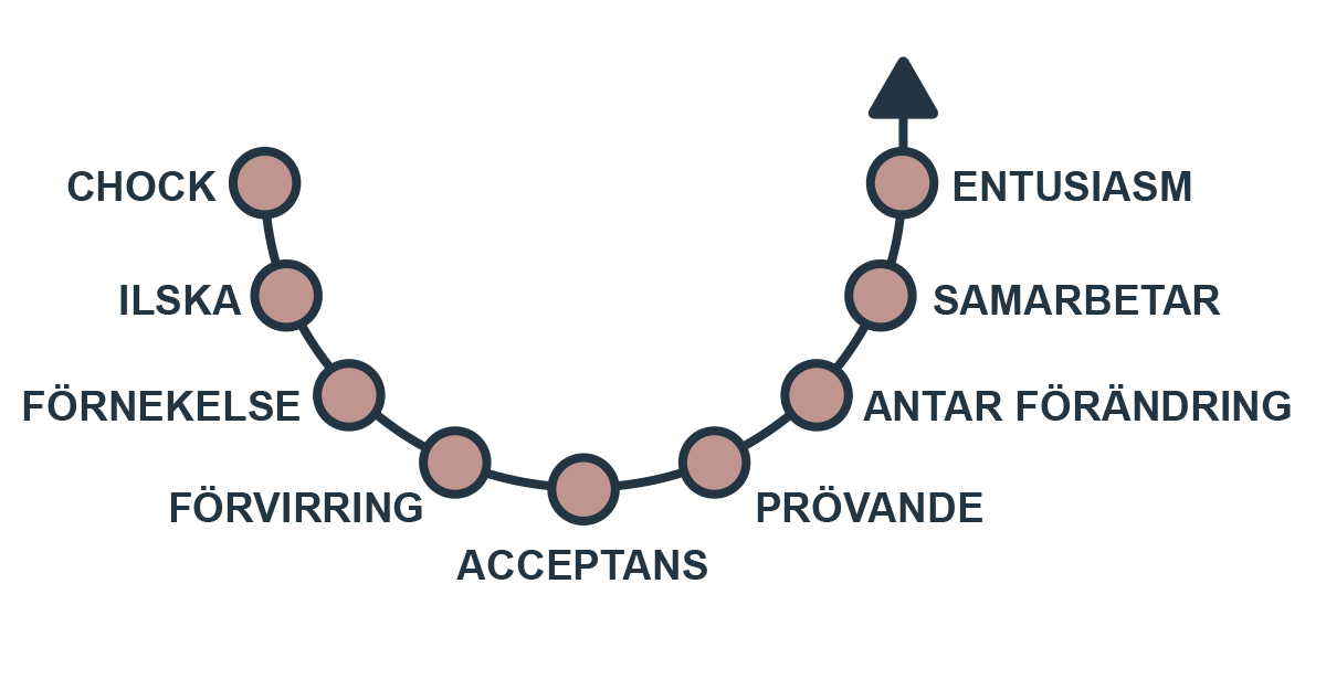 Grafik som visar förändringsprocessens olika steg