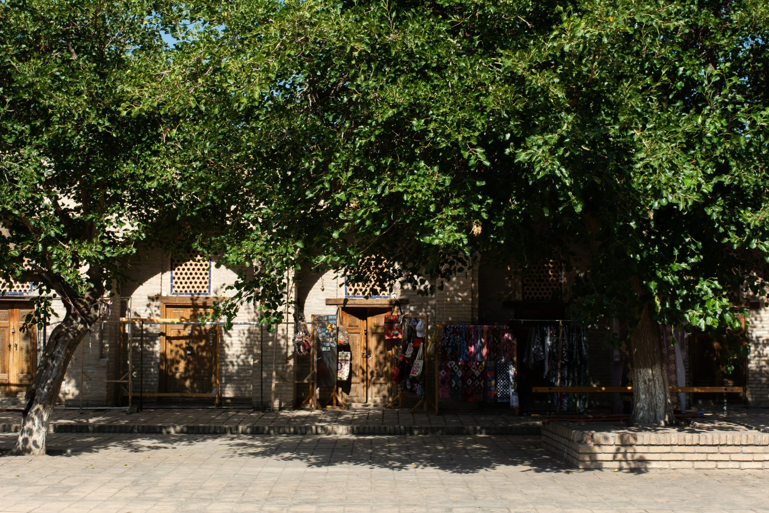 DSC_1514.jpg