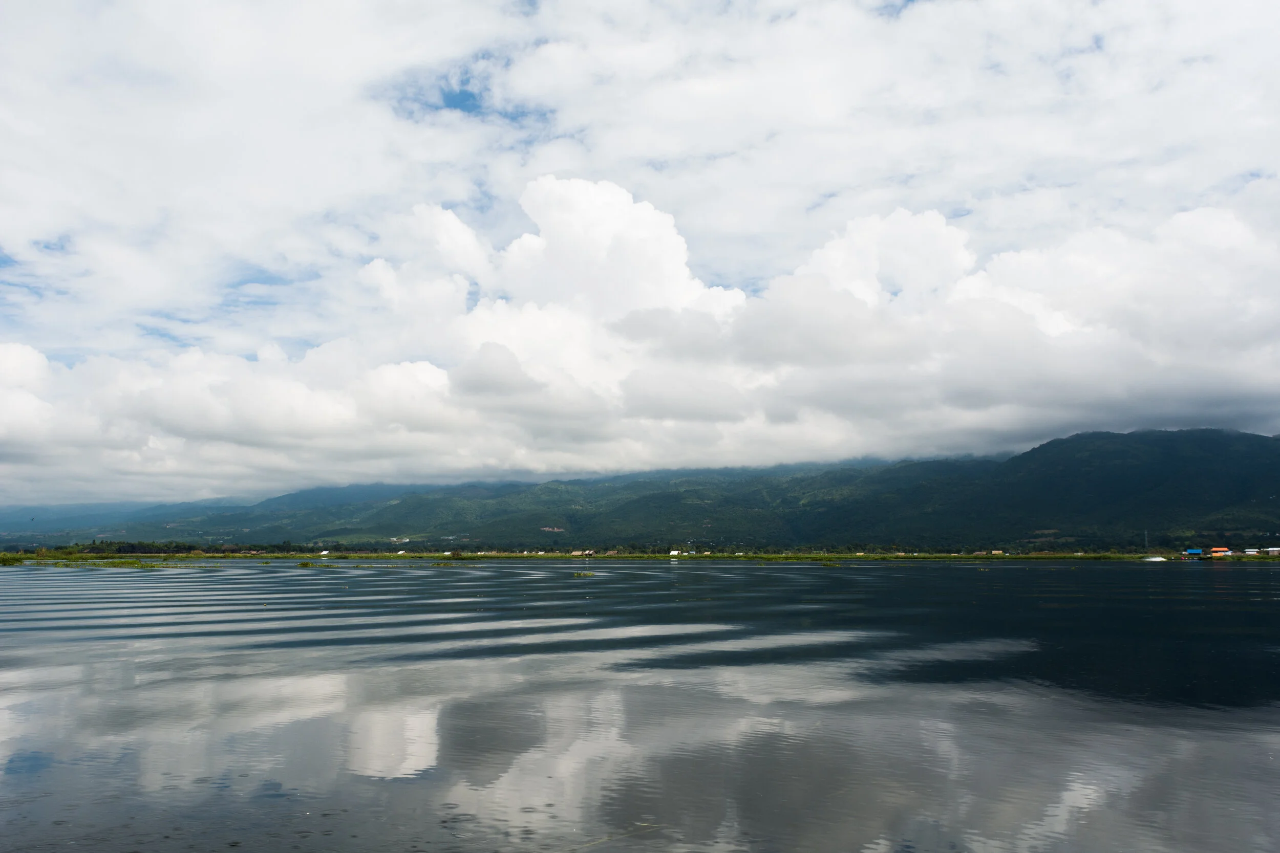 DSC_0424.jpg