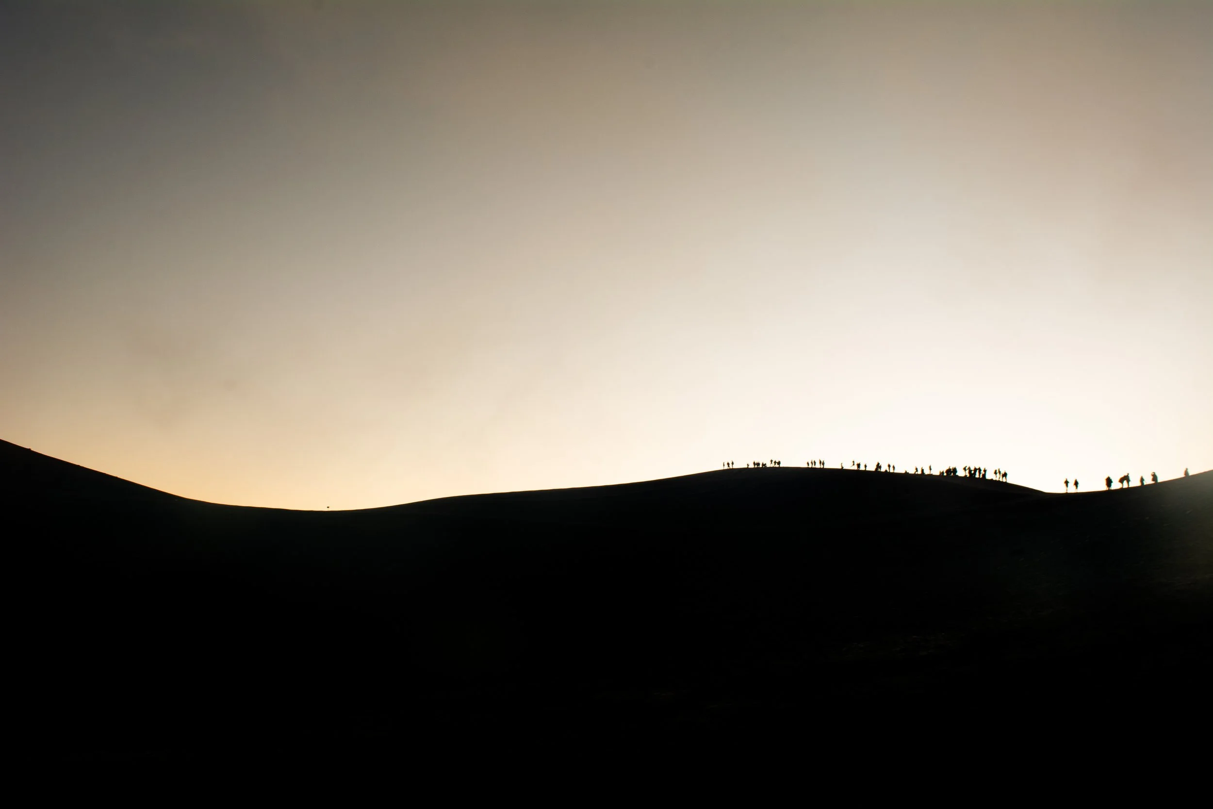 DSC_8090.jpg