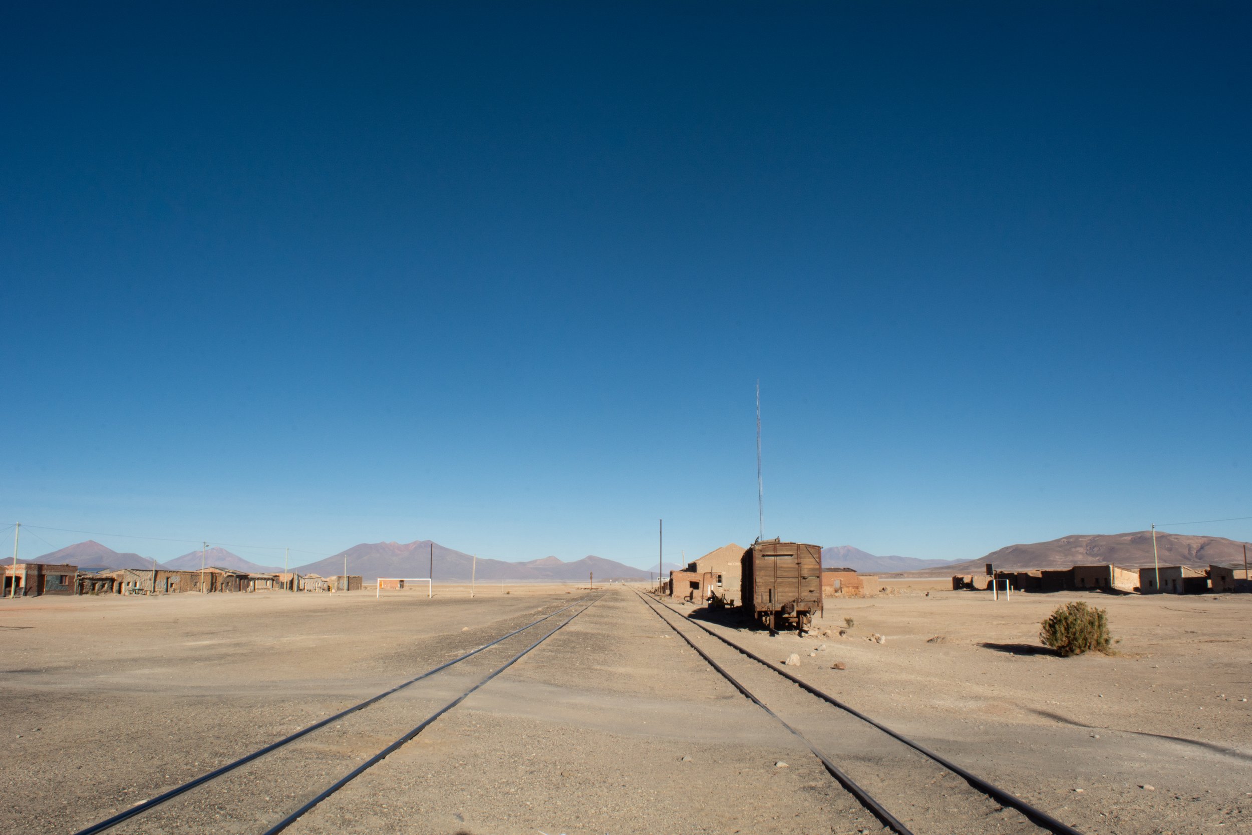 DSC_0247.jpg