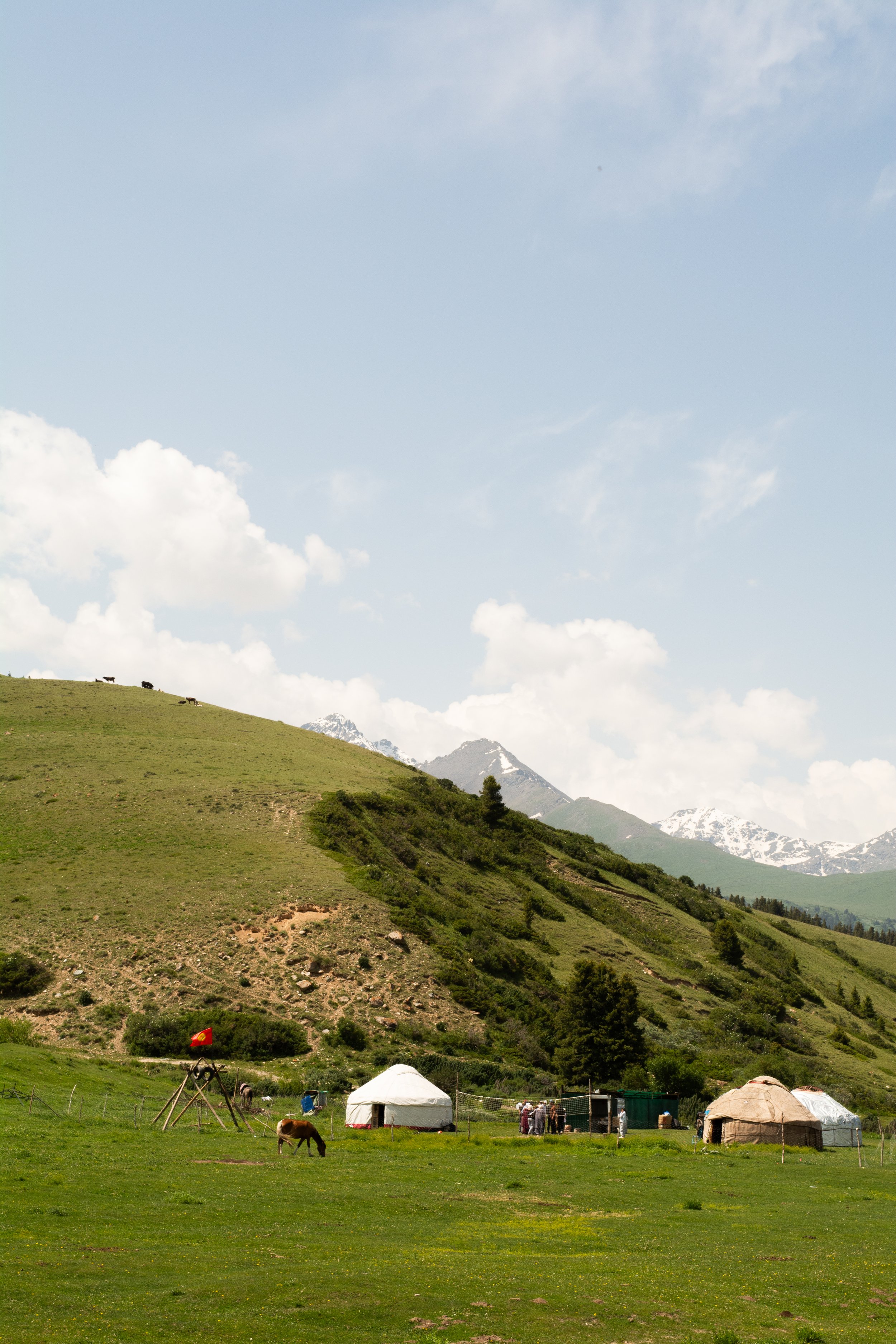 DSC_1929.jpg