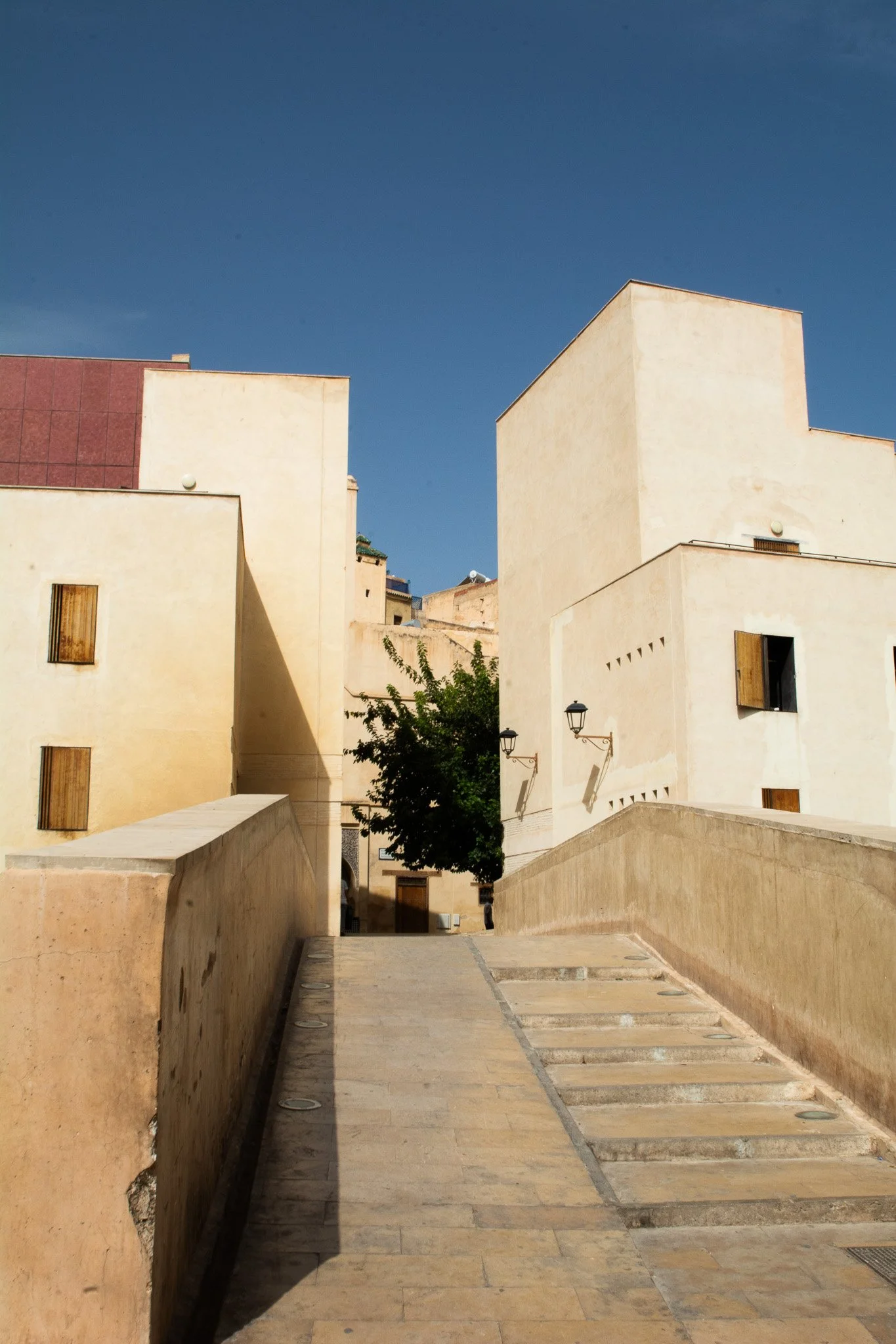 DSC_0954.jpg