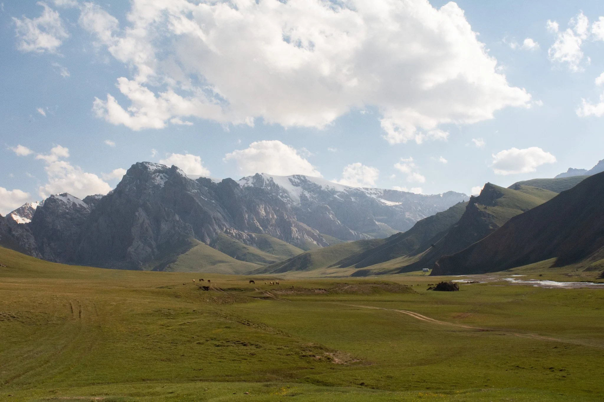 DSC_2155.jpg