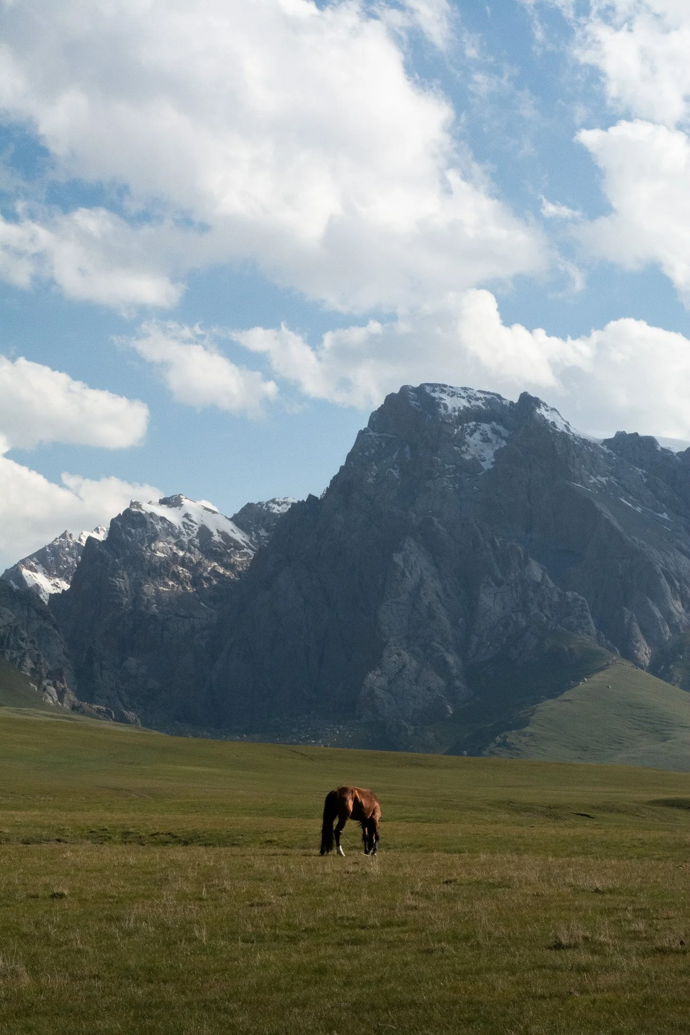 DSC_2173.jpg