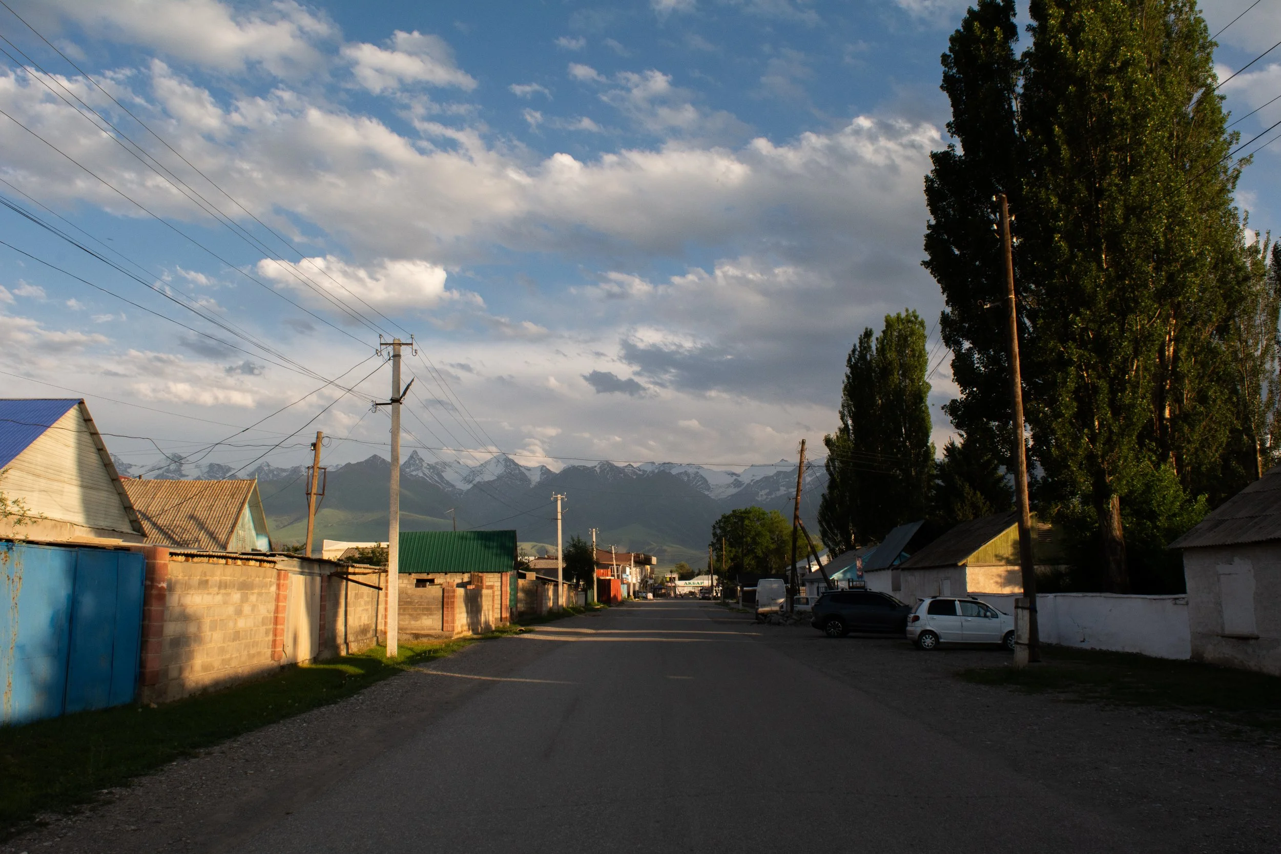 DSC_1916.jpg