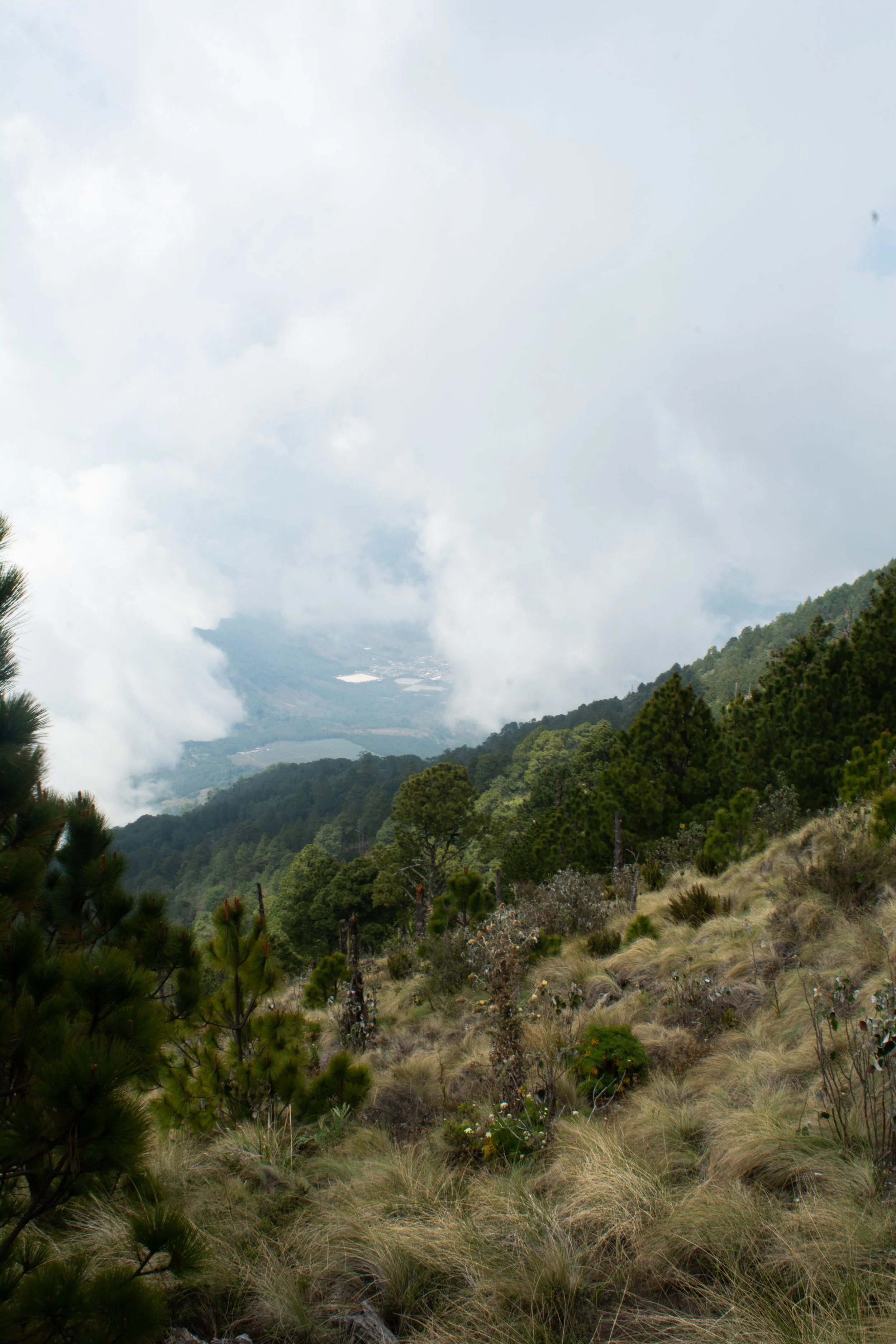 DSC_8046.jpg