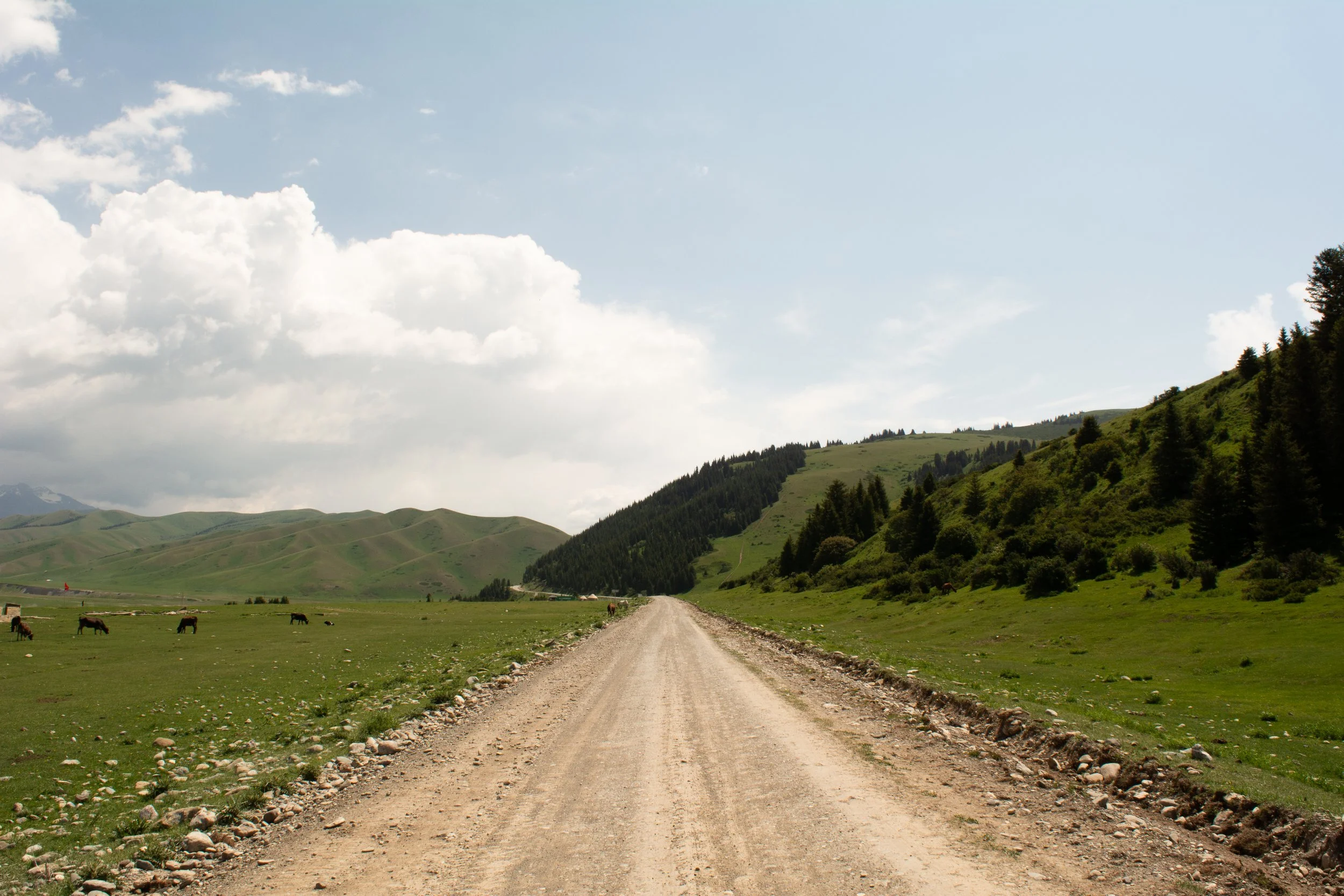 DSC_1927.jpg