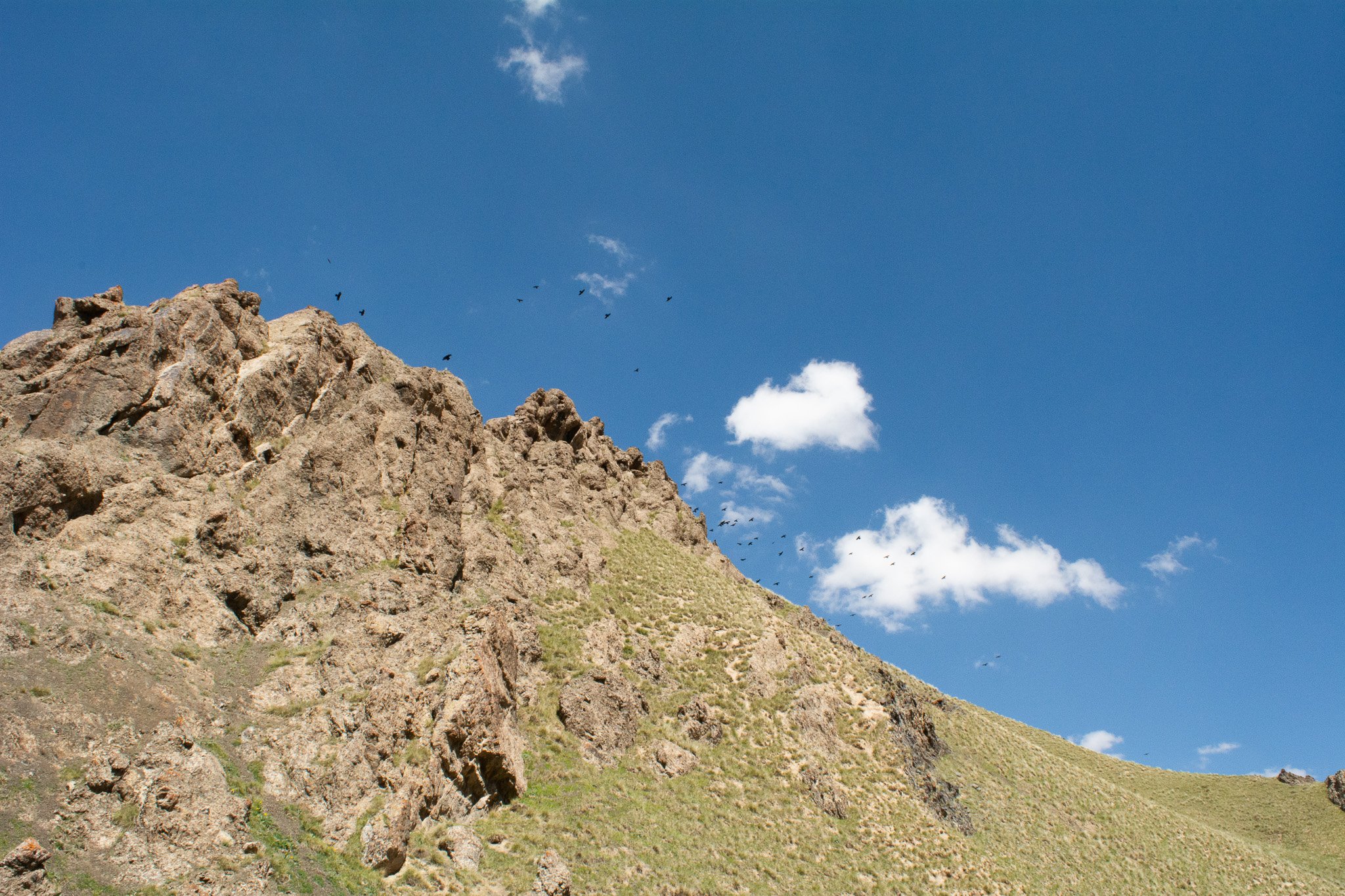 DSC_2124.jpg