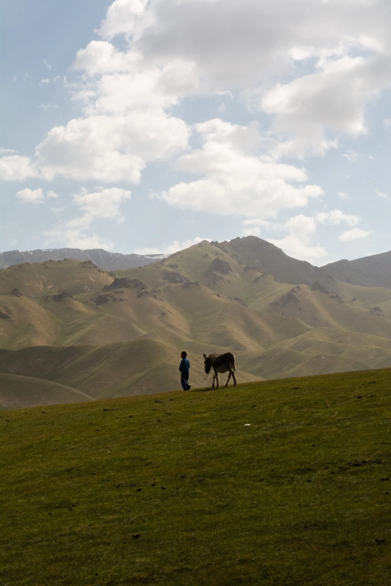 DSC_2185.jpg