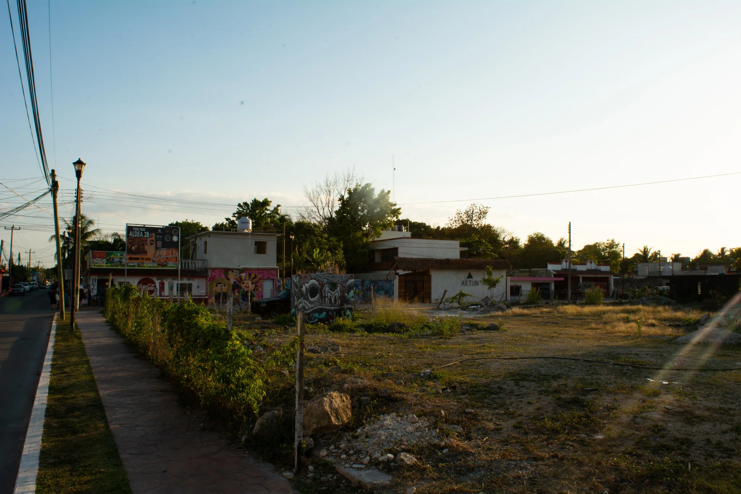 DSC_8392-Enhanced-NR.jpg