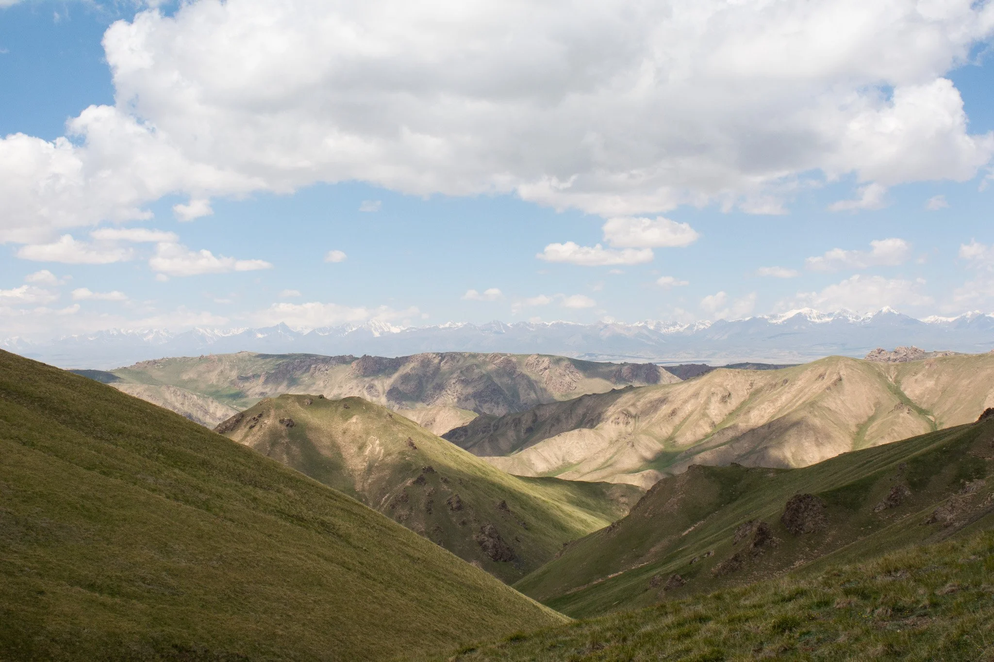 DSC_2091.jpg