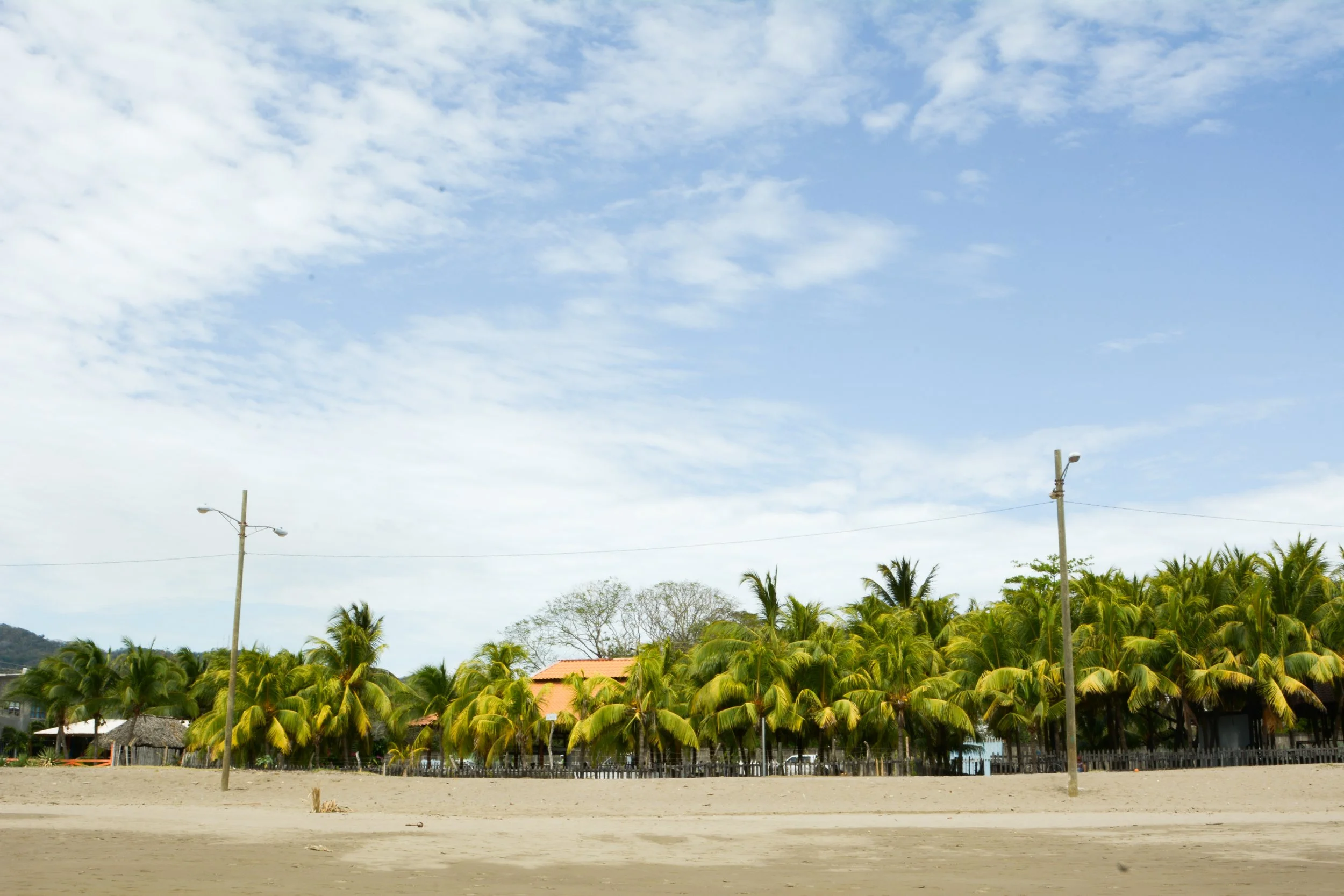 DSC_7320.jpg