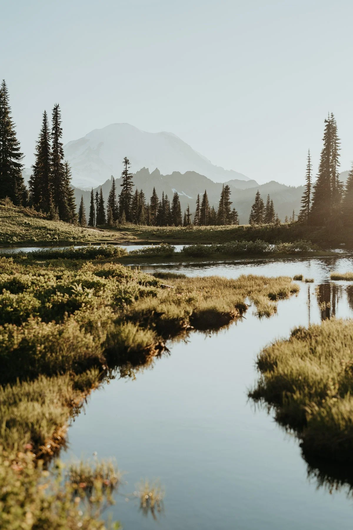 mt-rainier-tipsoo-vow-renewal_18.jpg