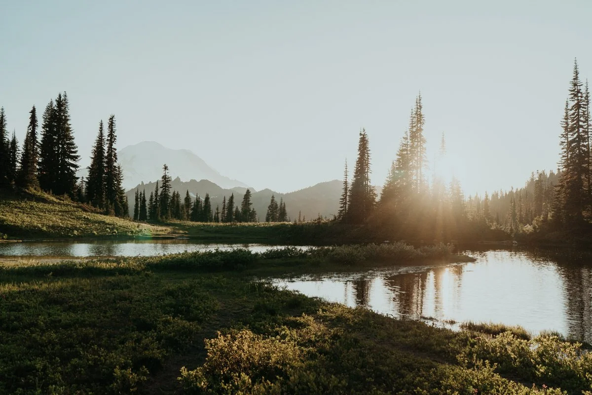 mt-rainier-tipsoo-vow-renewal_19.jpg