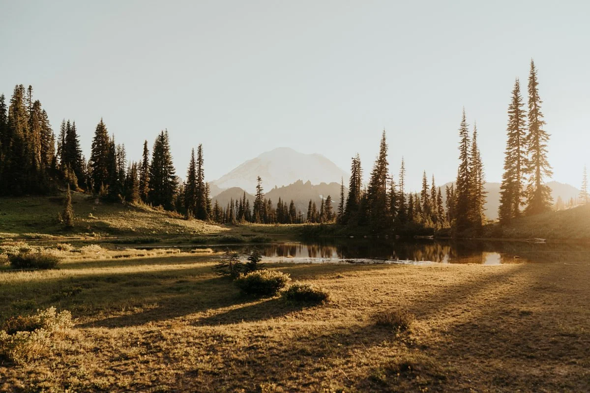 mt-rainier-tipsoo-vow-renewal_23.jpg