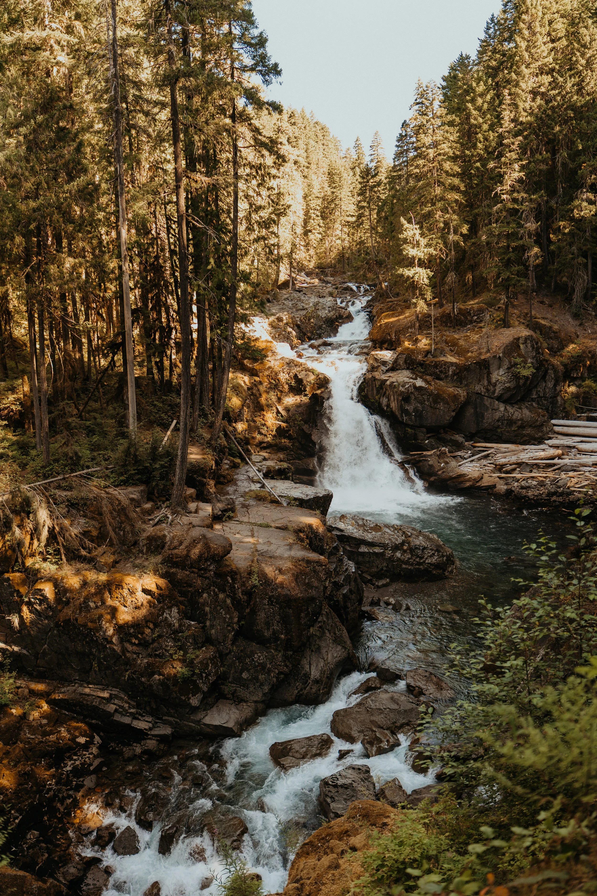 mt-rainier-elopement_13.jpg
