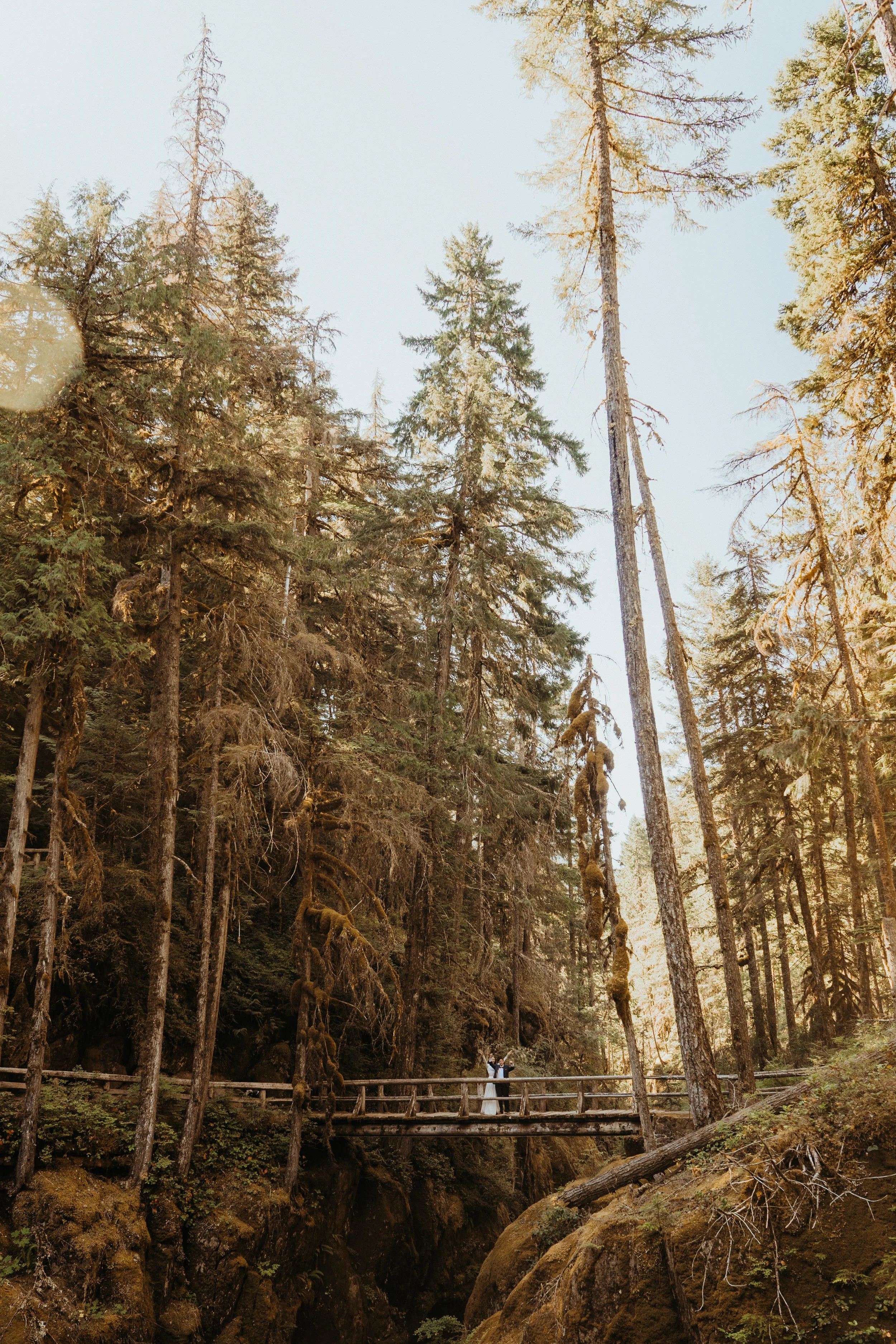 mt-rainier-elopement_22.jpg