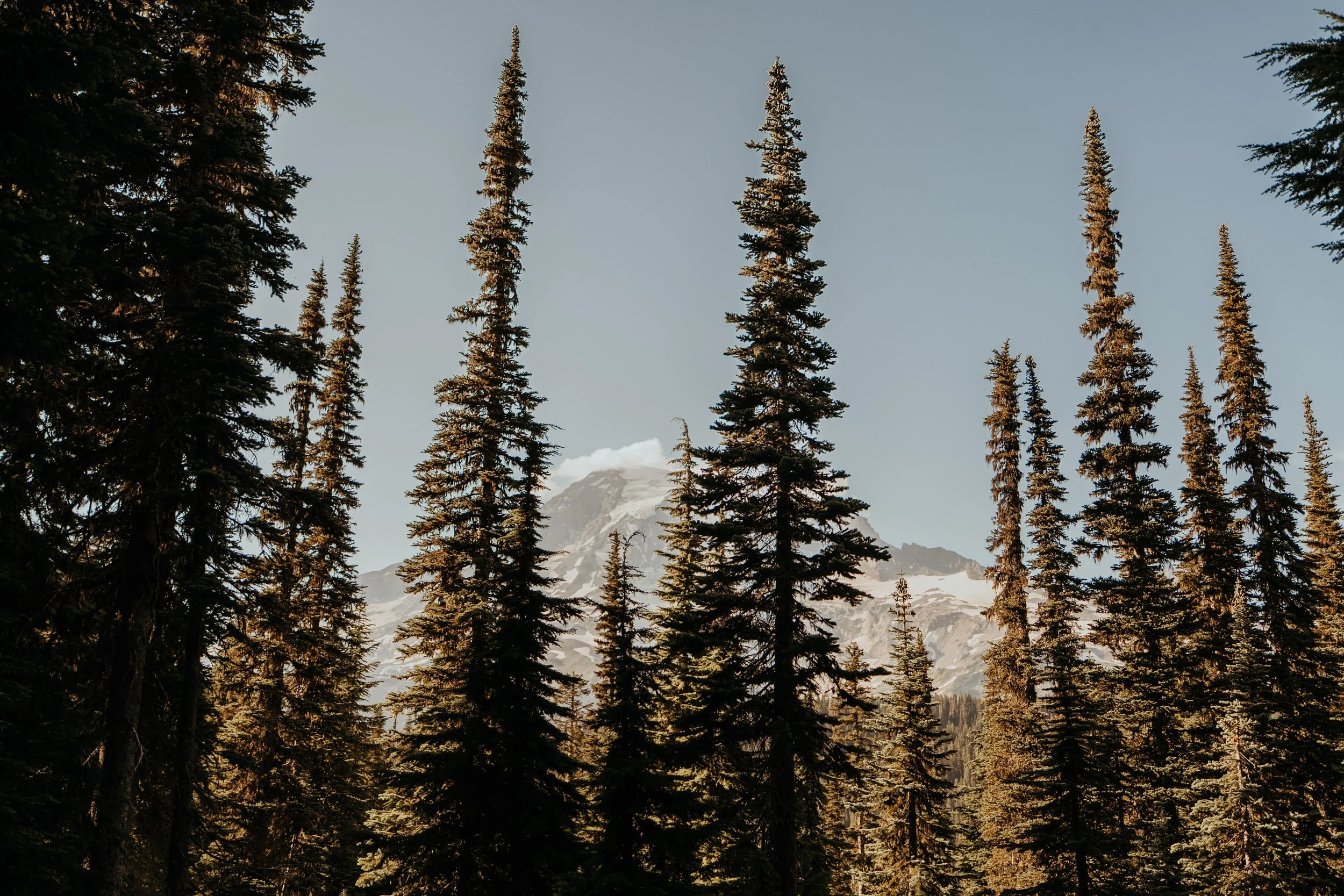mt-rainier-elopement_50.jpg