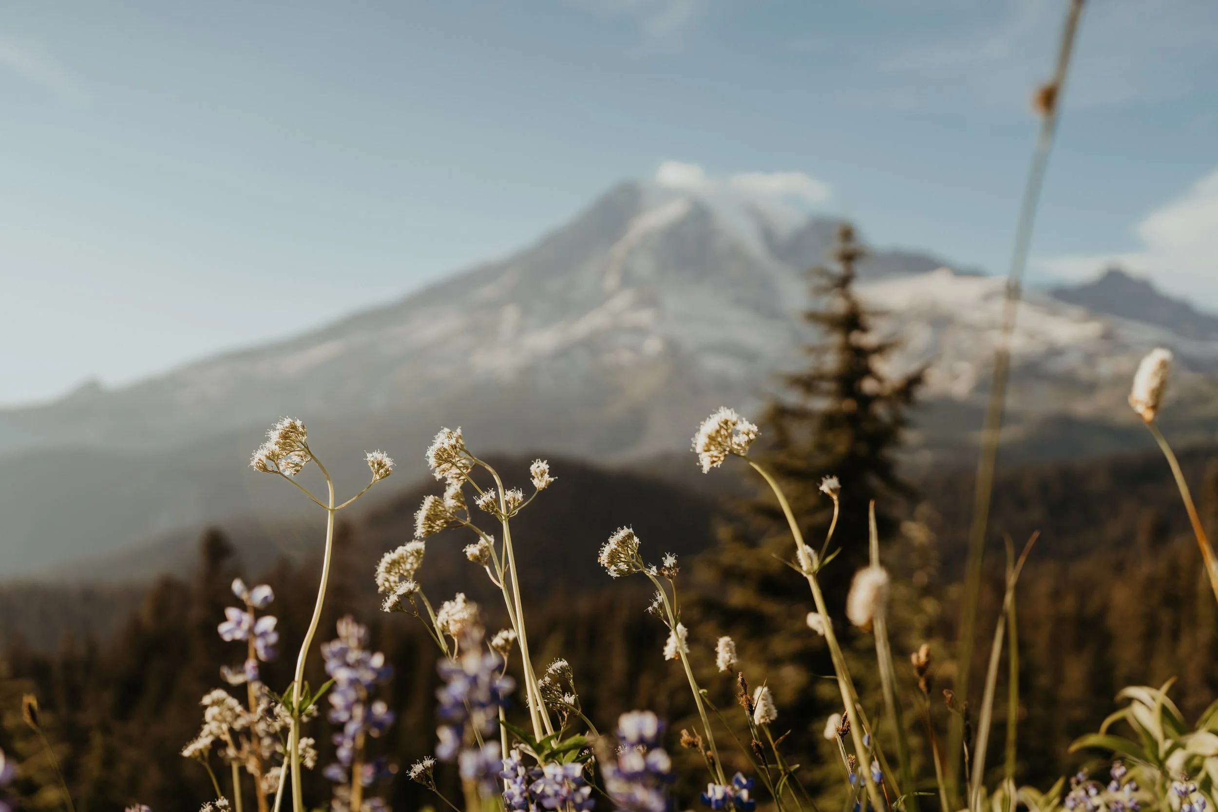 mt-rainier-elopement_55.jpg