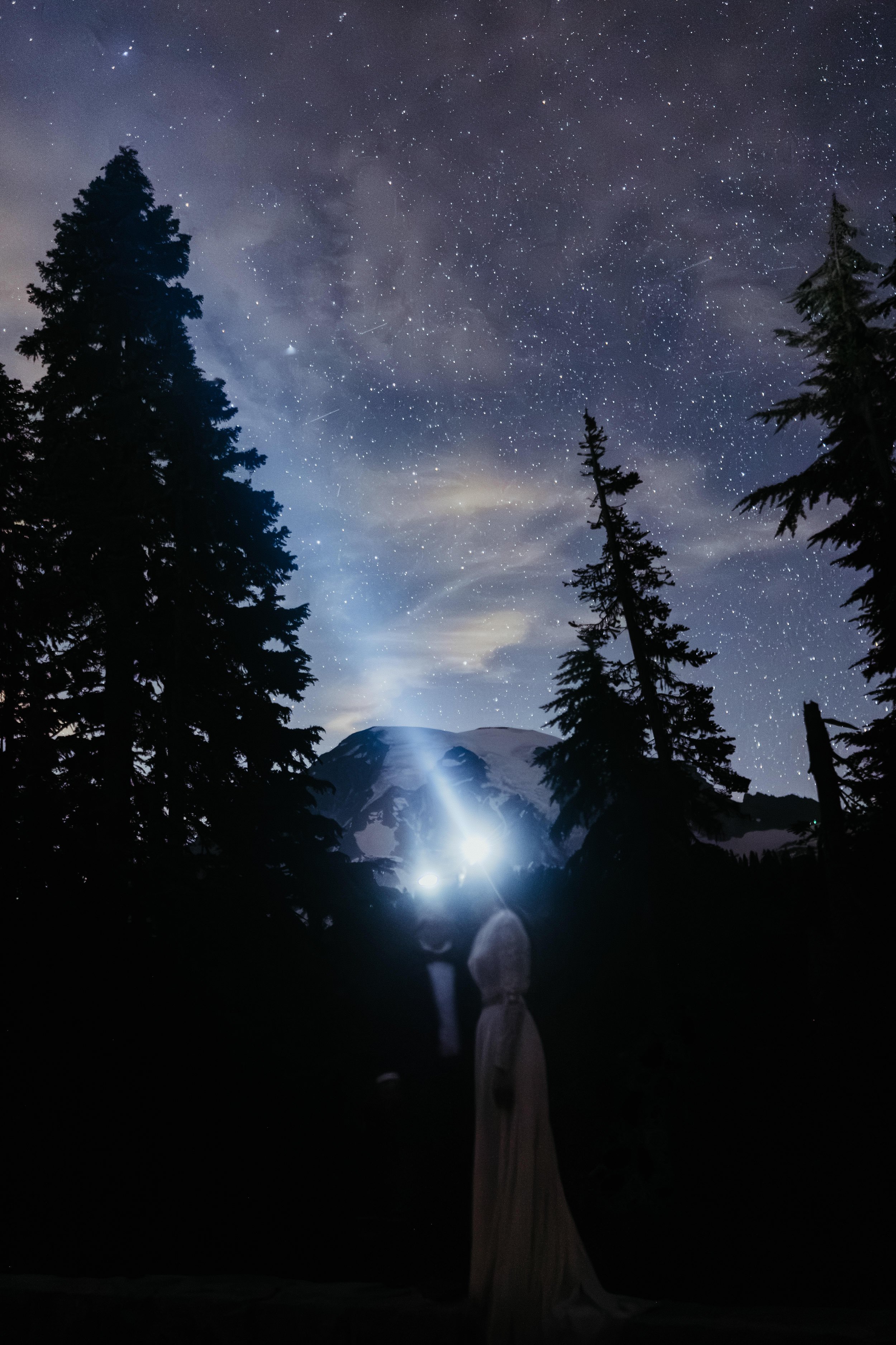 mt-rainier-elopement_99.jpg
