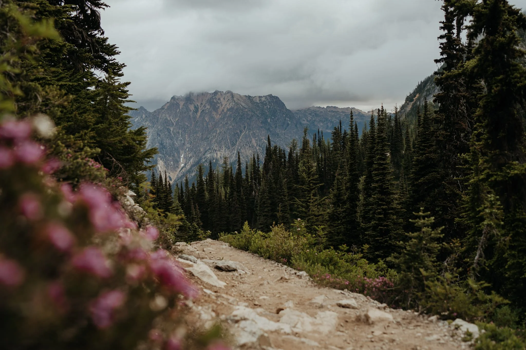 north-cascades-sunrise-hiking-elopement_46.jpg
