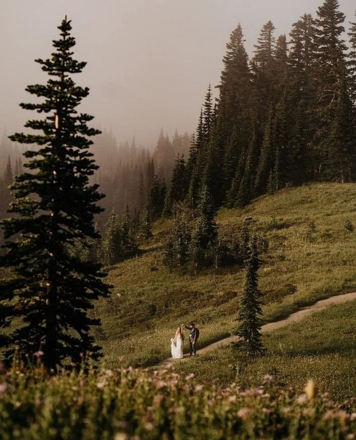 There's not much I love more than a foggy mountain day 💚