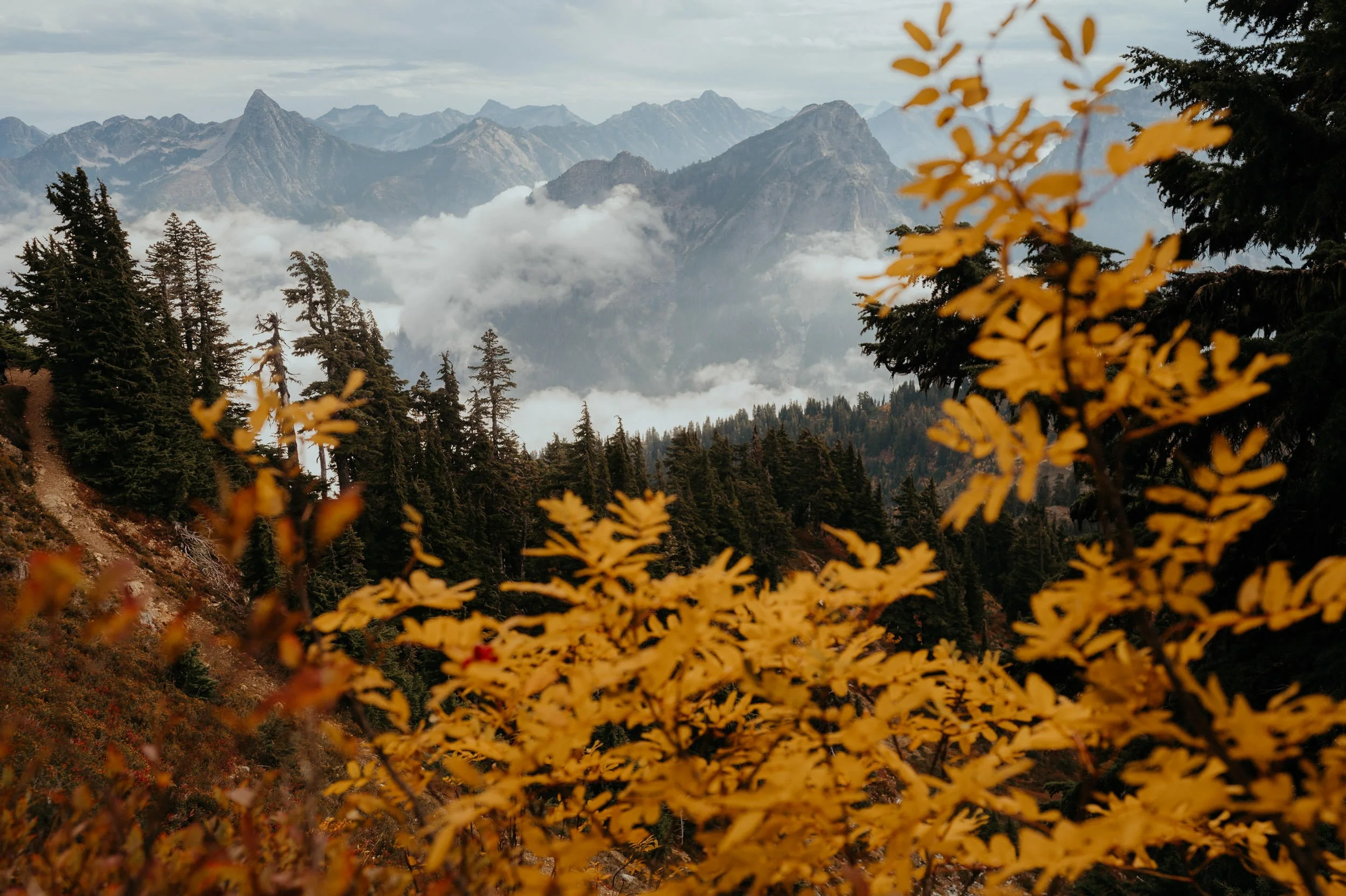 autumn-mt-baker-lookout-elopement_74.jpg
