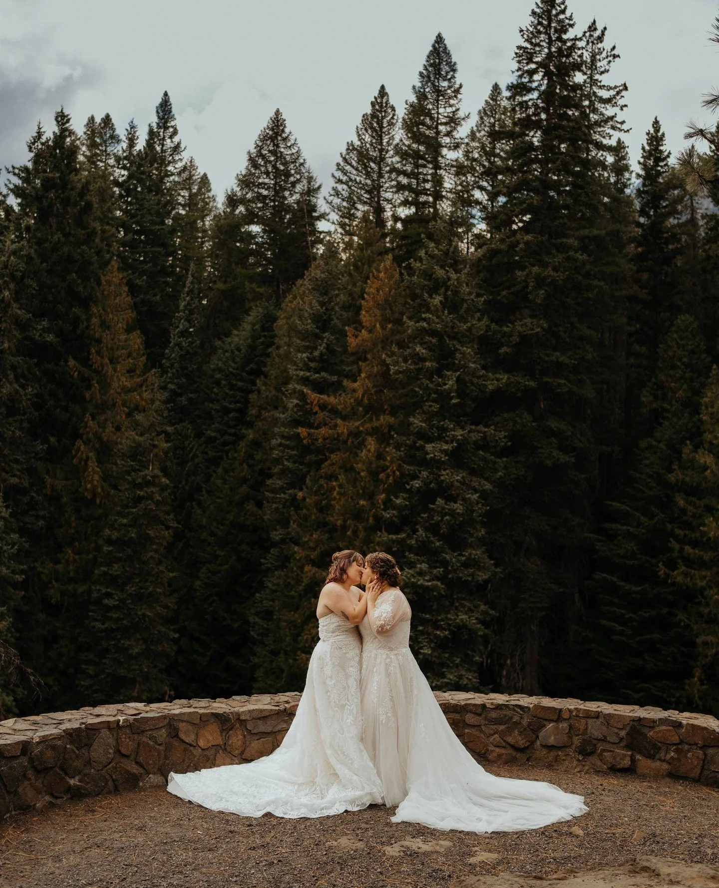 Some really fun stats 🏳️&zwj;🌈🏳️&zwj;🌈🏳️&zwj;🌈⁠
2018: 12%⁠
2019: 13%⁠
2020: 15%⁠
2021: 25%⁠
2022: 13%⁠
2023: 19%⁠
2024: 14%⁠
2025: 33% < a banner year for the gays and theys!⁠
2026 so far: 24%⁠
2027: a little early but currently 40%!⁠
⁠
Tota