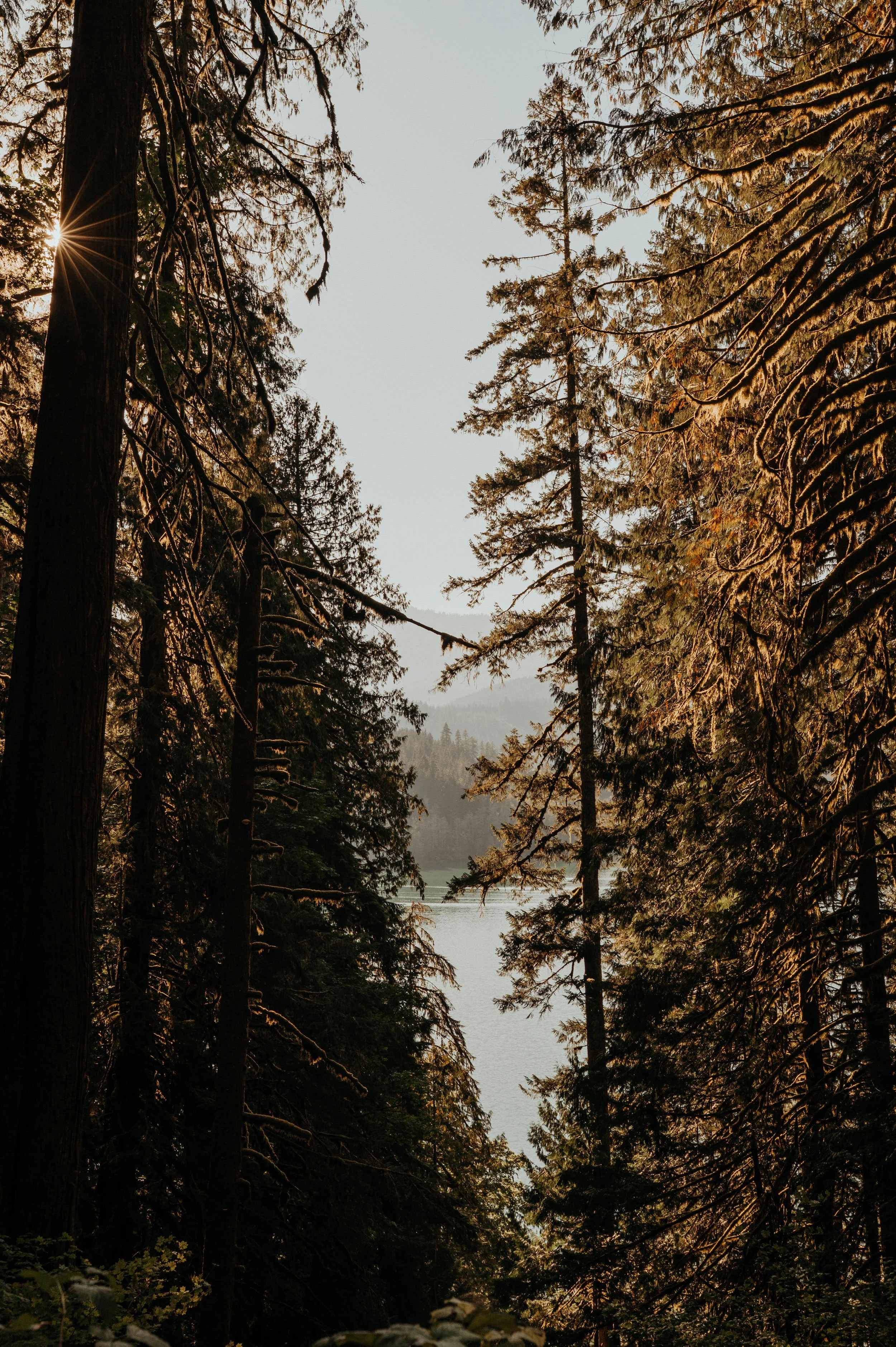 baker-lake-hiking-elopement_43.jpg