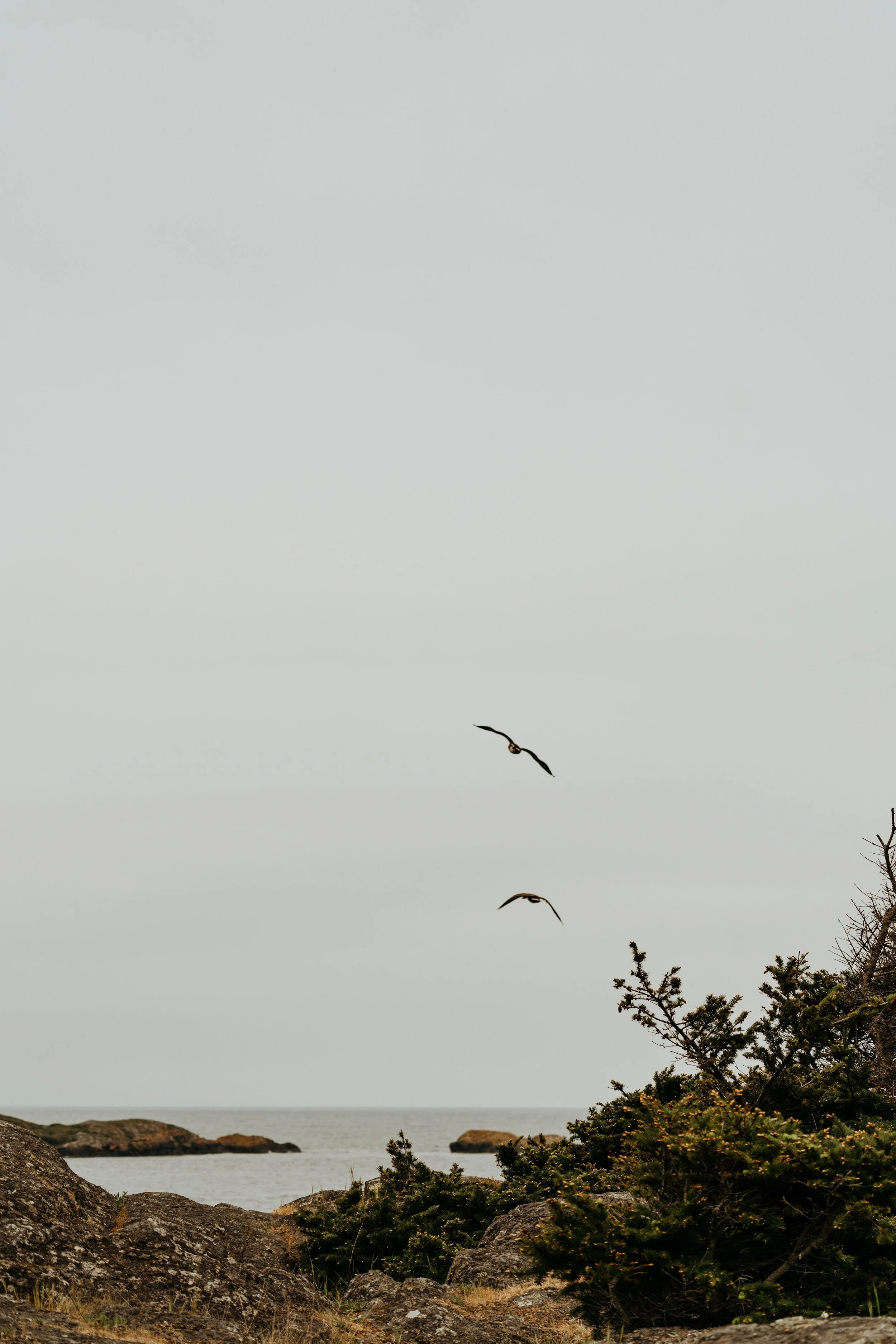 lopez-san-juan-island-elopement_68.jpg