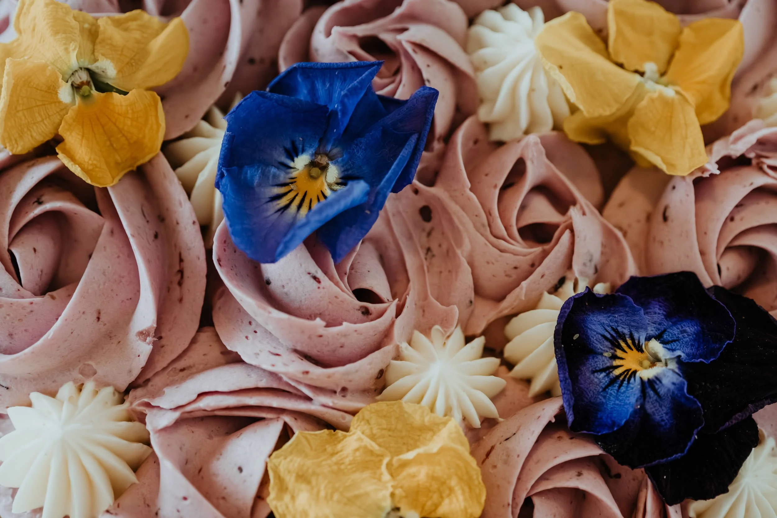 lopez-san-juan-island-elopement_78.jpg