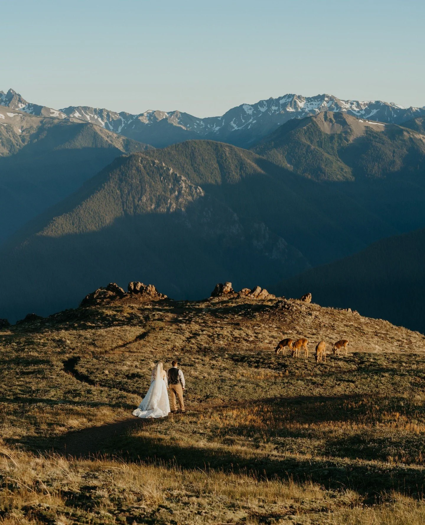 A beautiful elopement day in Olympic, this amazing start of summer 💙 I can't believe how many colors this landscape has to offer, how many different types of environments you can see in just a day. I love getting to guide couples around to all my fa