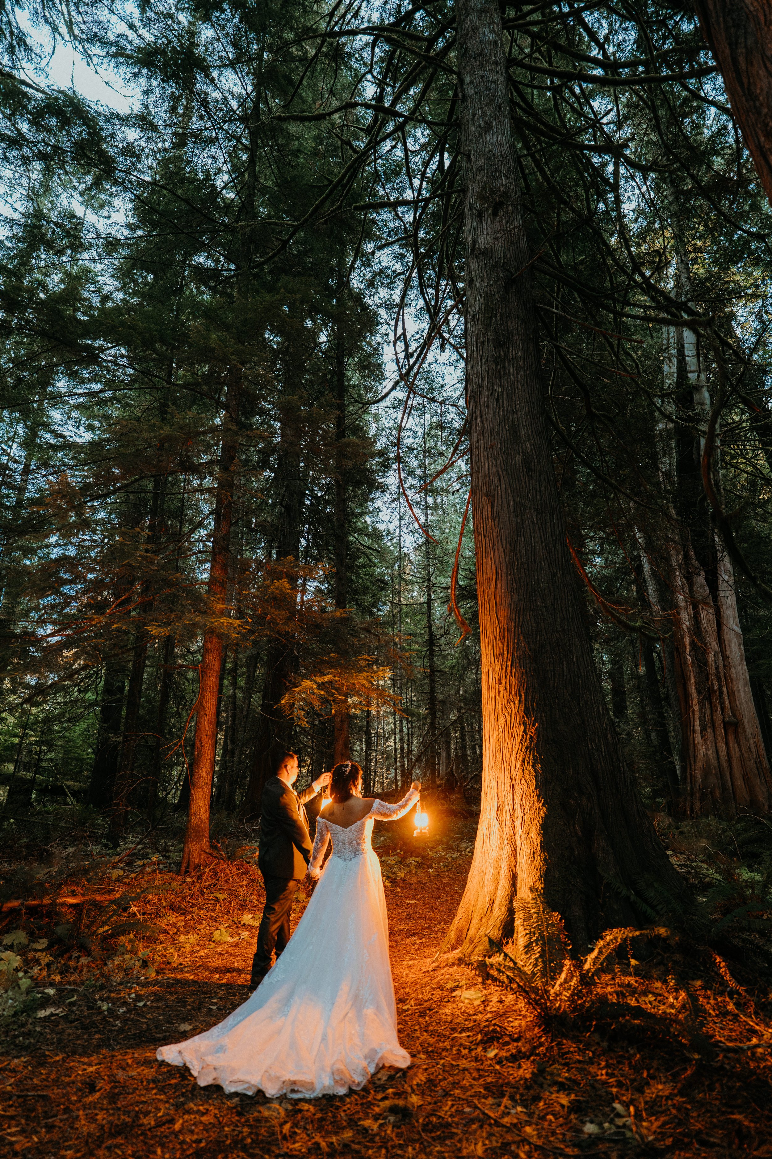A bride and groom holding lanterns in a dense forest at dusk.