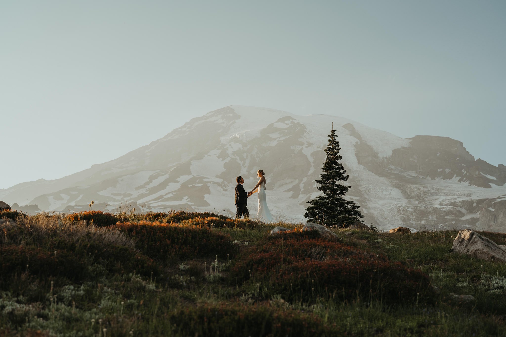 A wedding couple holding hands on a grassy hill with a mountain and a pine tree in the background.