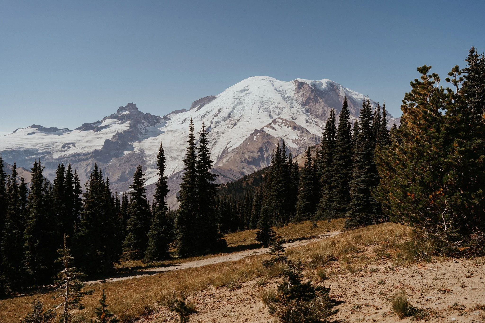 Snow-capped mountain behind a dense forest of evergreen trees and a dirt path in the foreground.