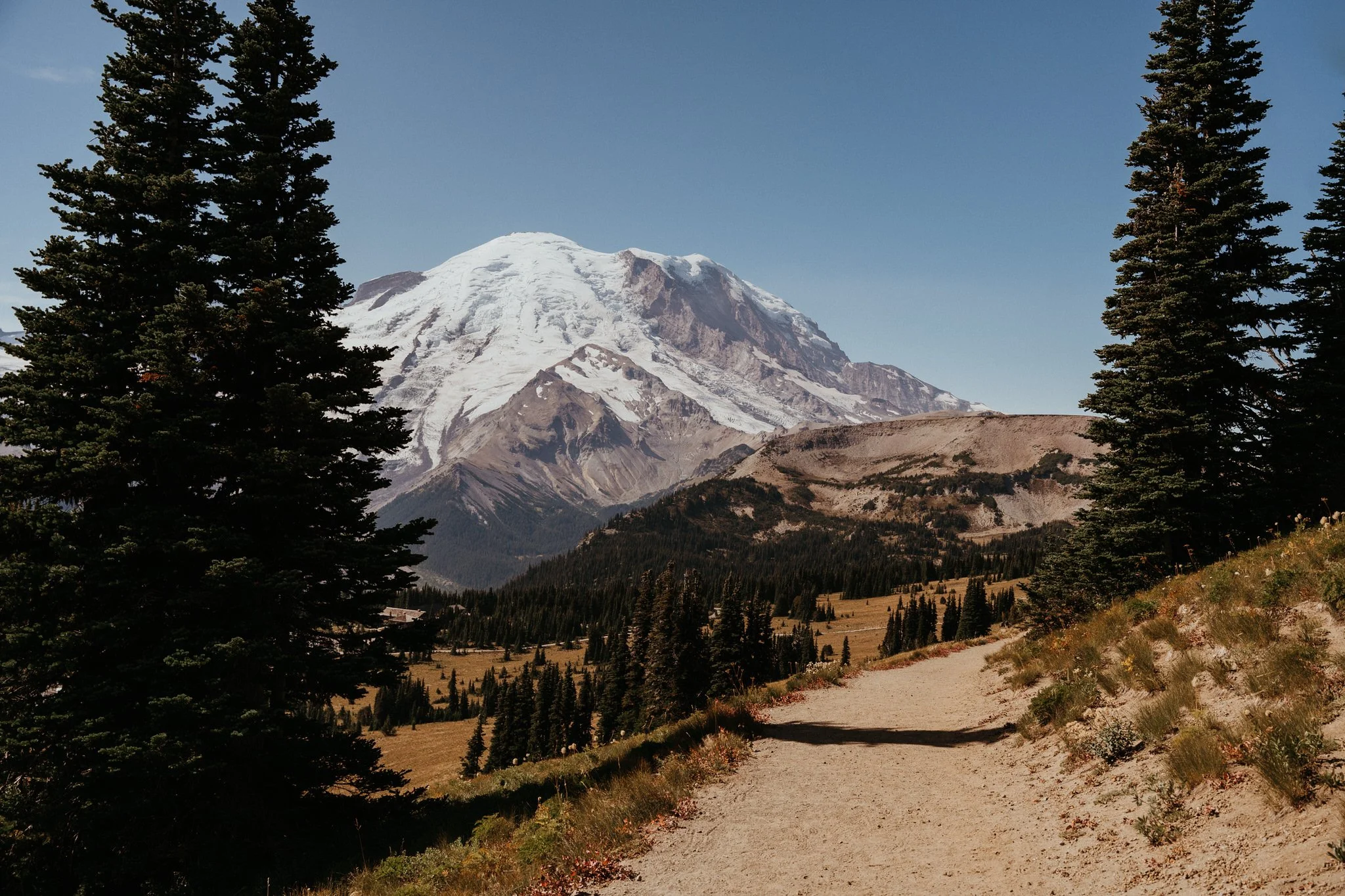 A dirt trail leads through a forested area toward a snow-capped mountain in the distance, with trees on both sides and a clear blue sky.