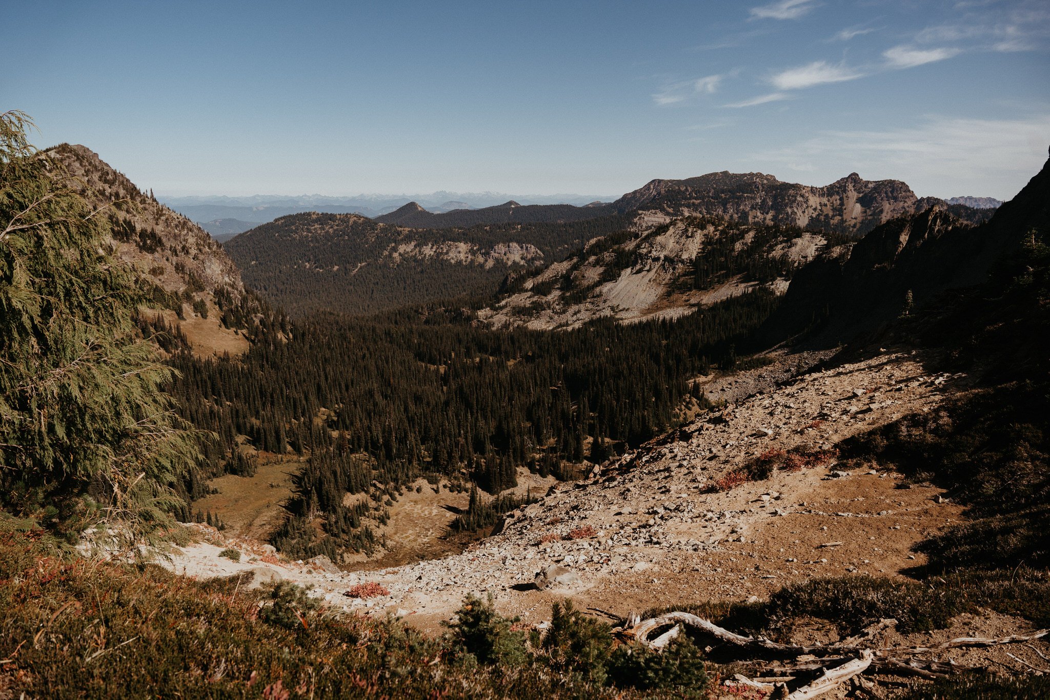 A mountain landscape with rugged slopes, dense pine forests in the valley, and a clear blue sky overhead.