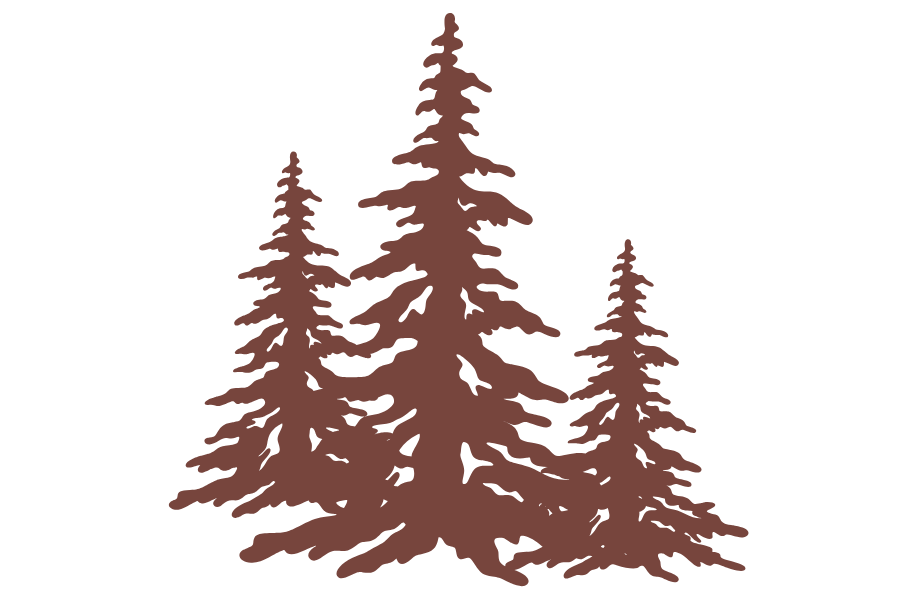 Silhouette of three pine trees on a black background.