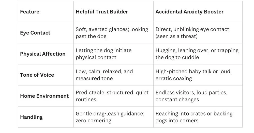 A helpful chart  detailing helpful trust builders for your rescue dog