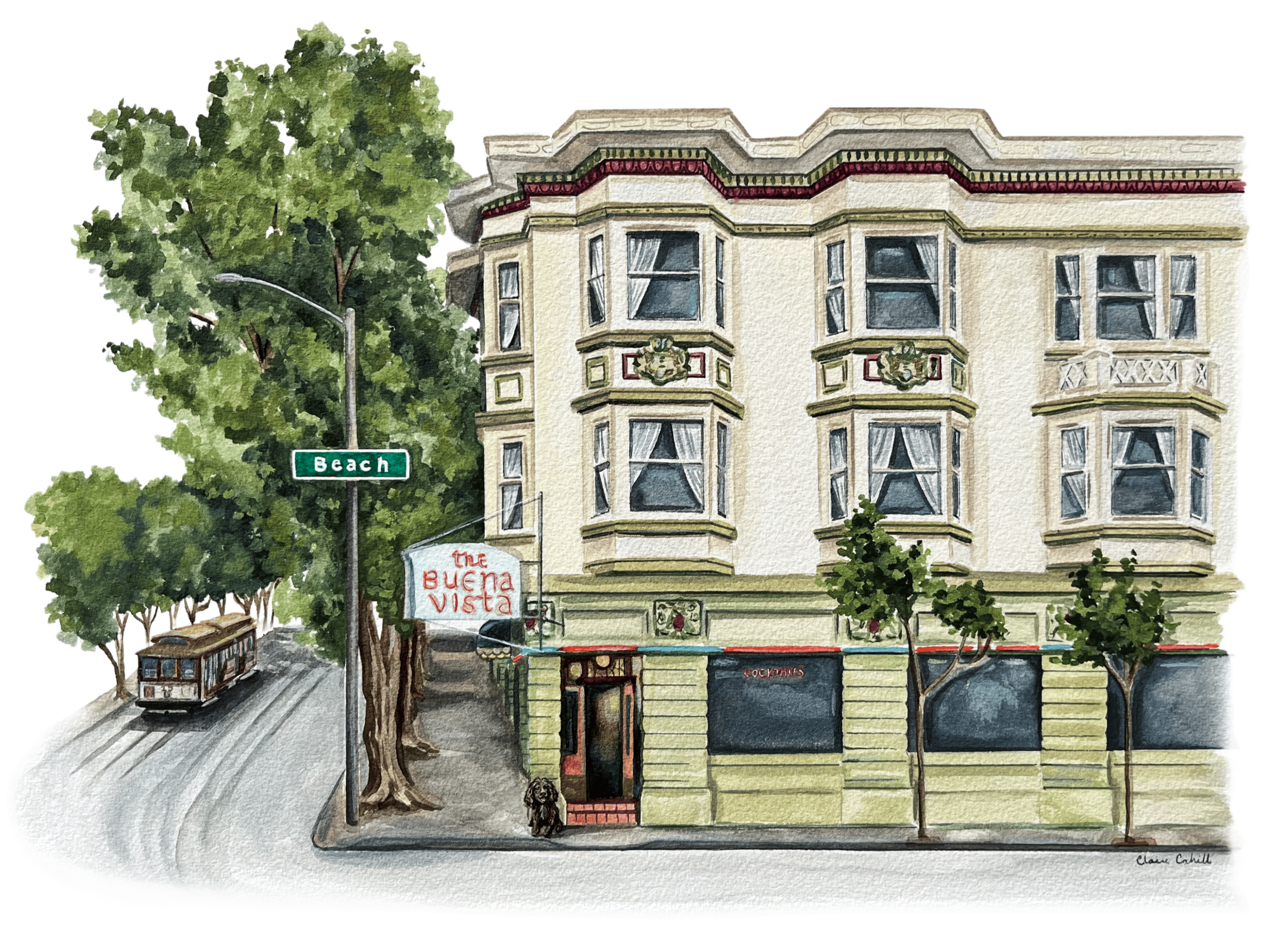SF.png