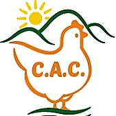 Logo anterior