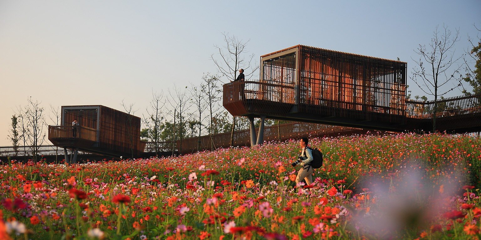 Renaturer la ville : par où commencer ?