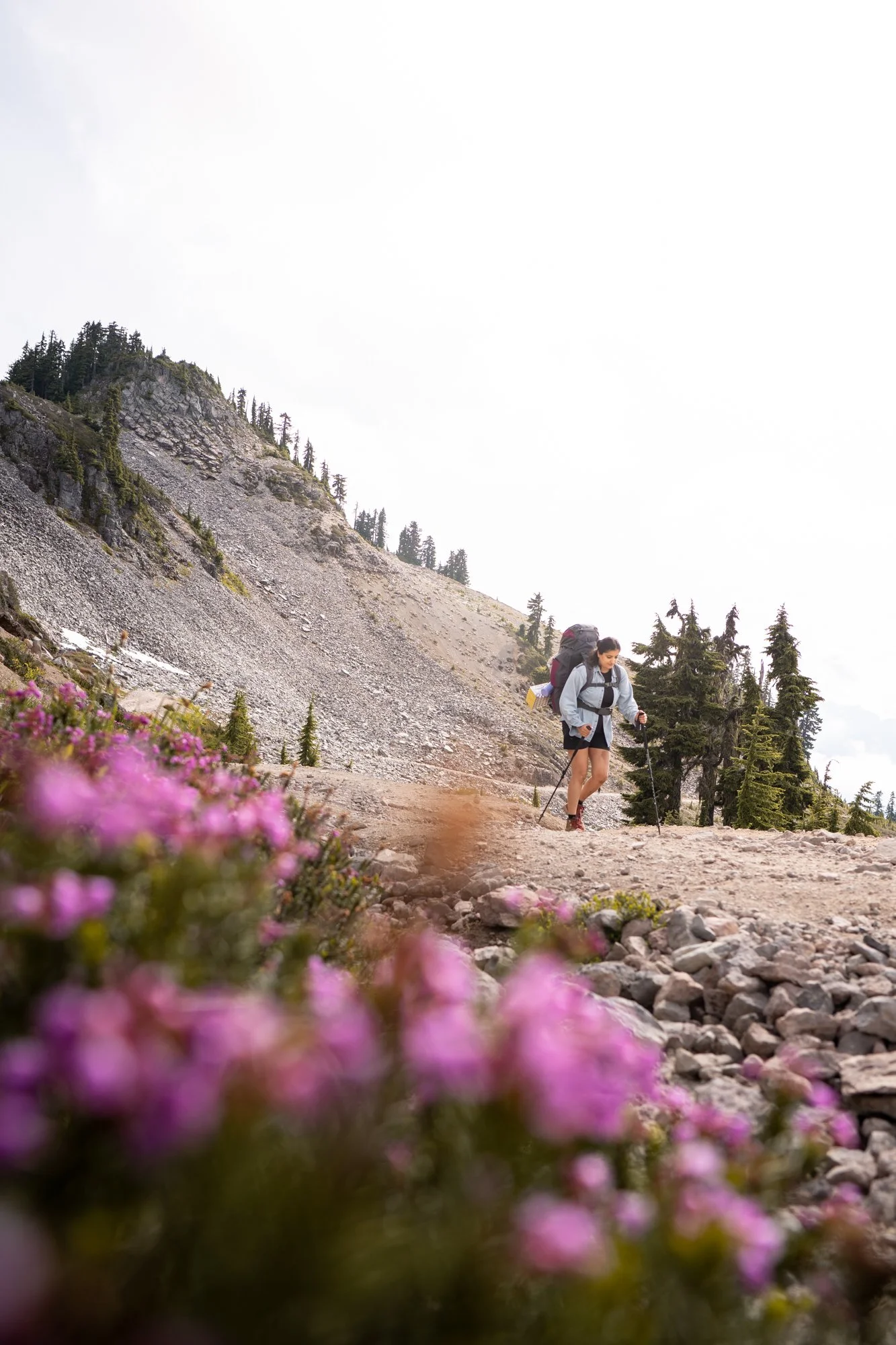 Garibaldi-park-elfin-lakes-trail-flowers-woman-hiking-2.jpg