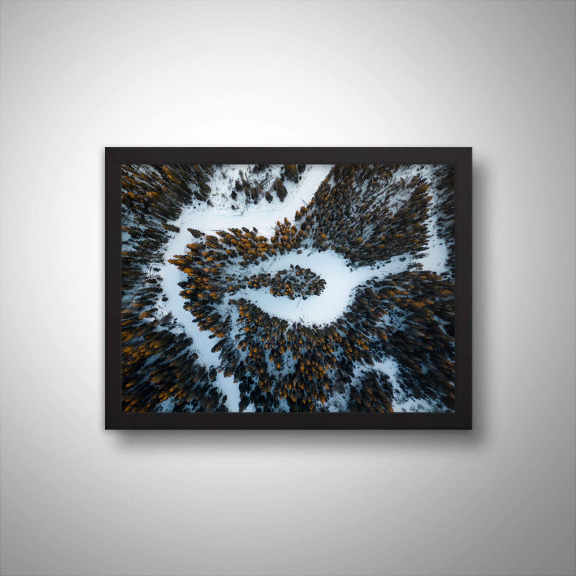 OX Bow from Above- Thumbnail.jpg