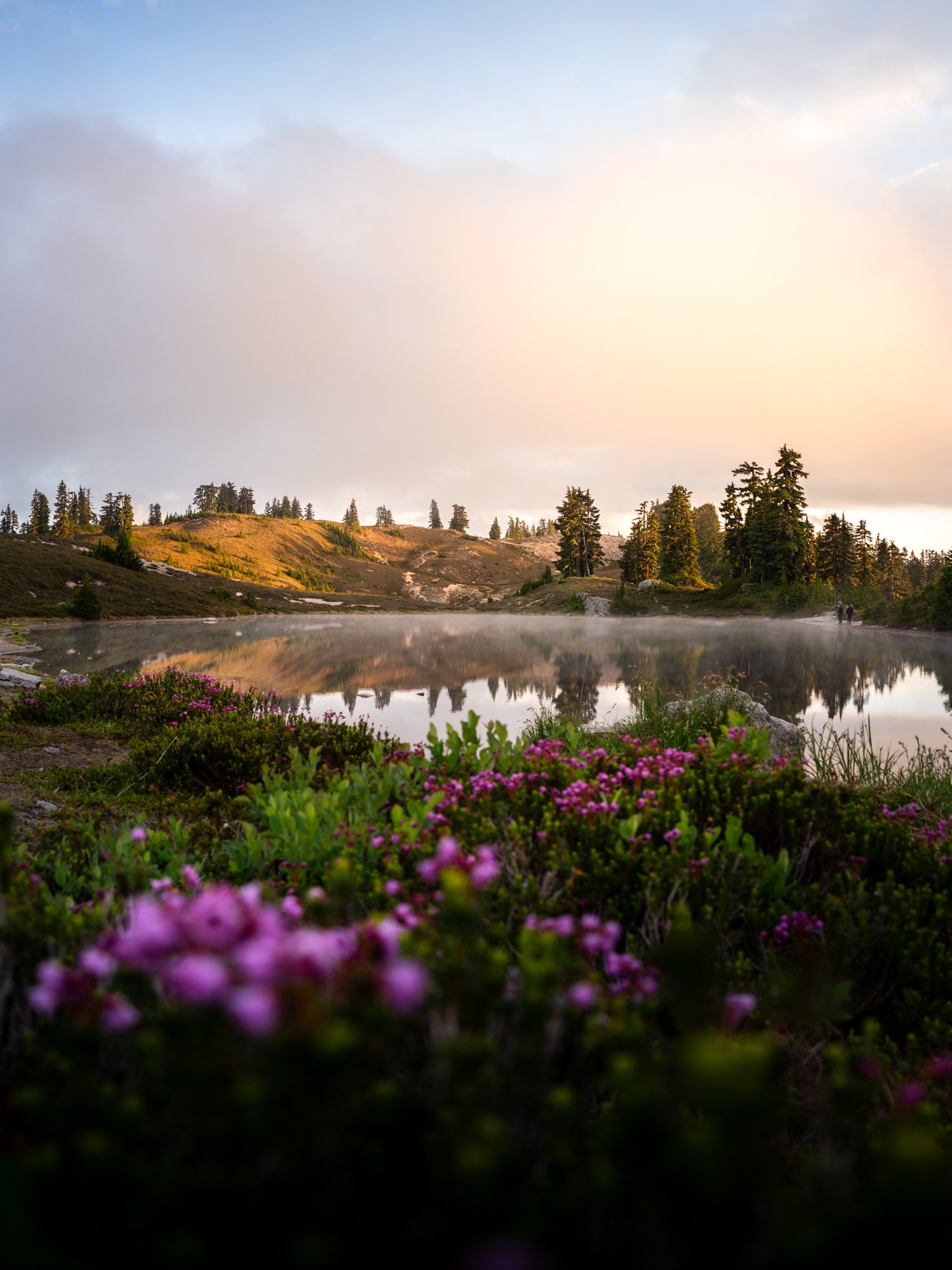 Garibaldi-park-elfin-lake-sunset-flowers.jpg