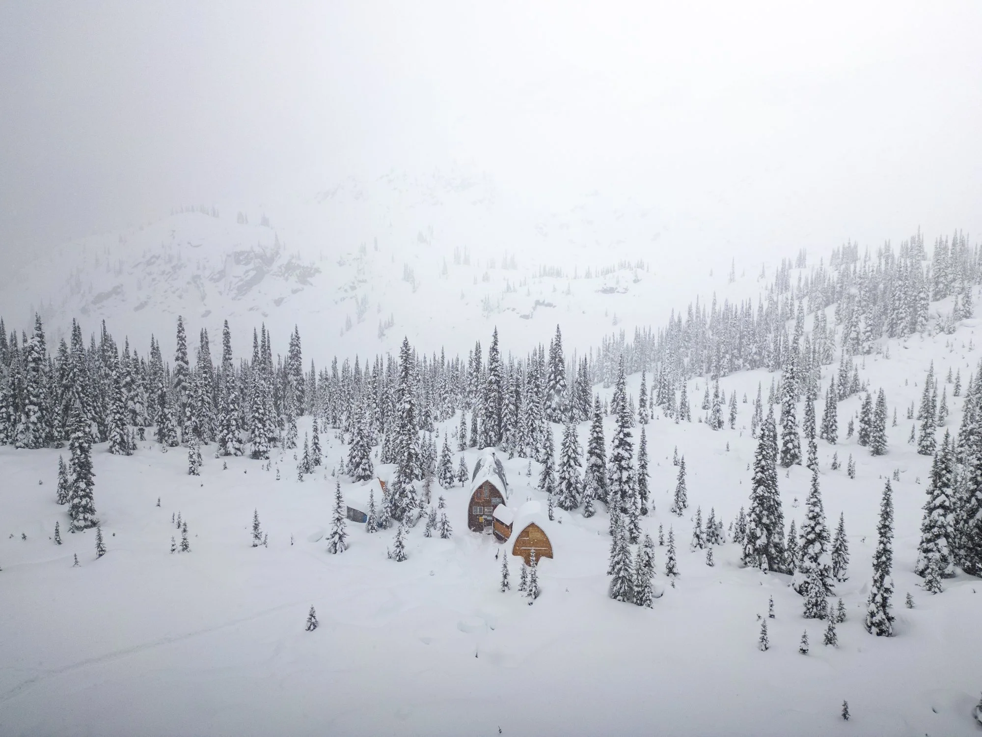DJI_0497.jpg